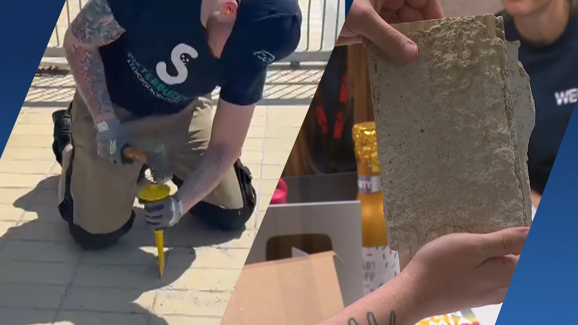 Veiling zeehondentegels levert ruim tienduizend euro op