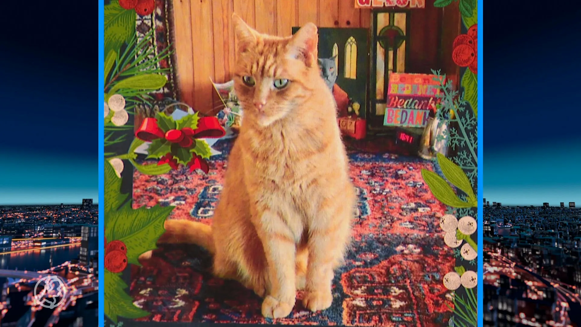 Henk (80) wil rouwadvertentie plaatsen over kat Miles, maar krant weigert