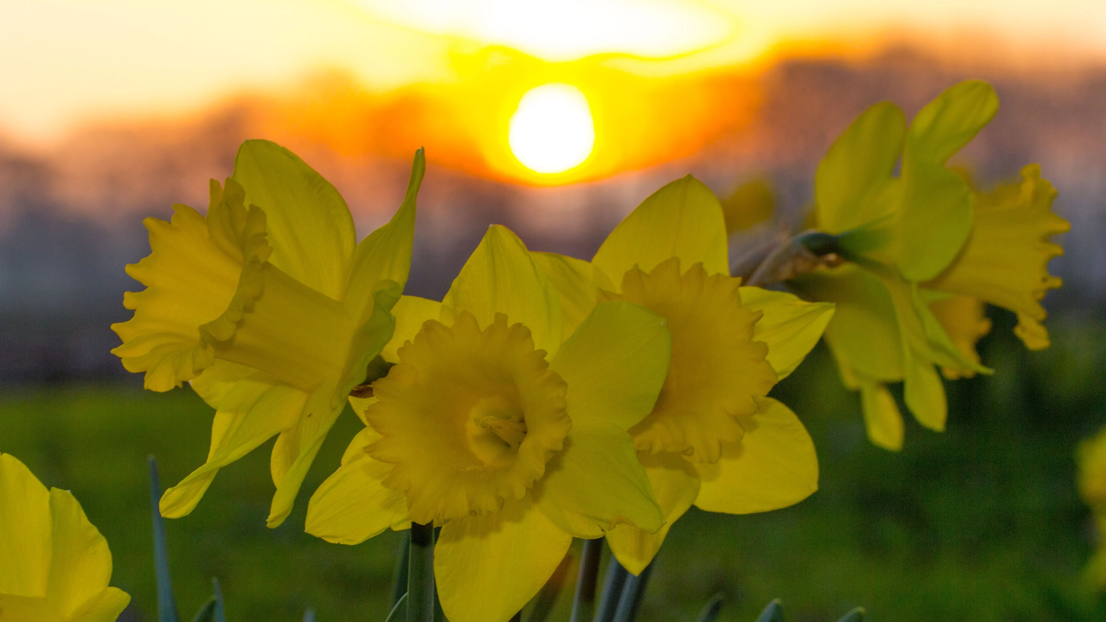 Na een zonnig en warm weekend wordt het de komende dagen kouder