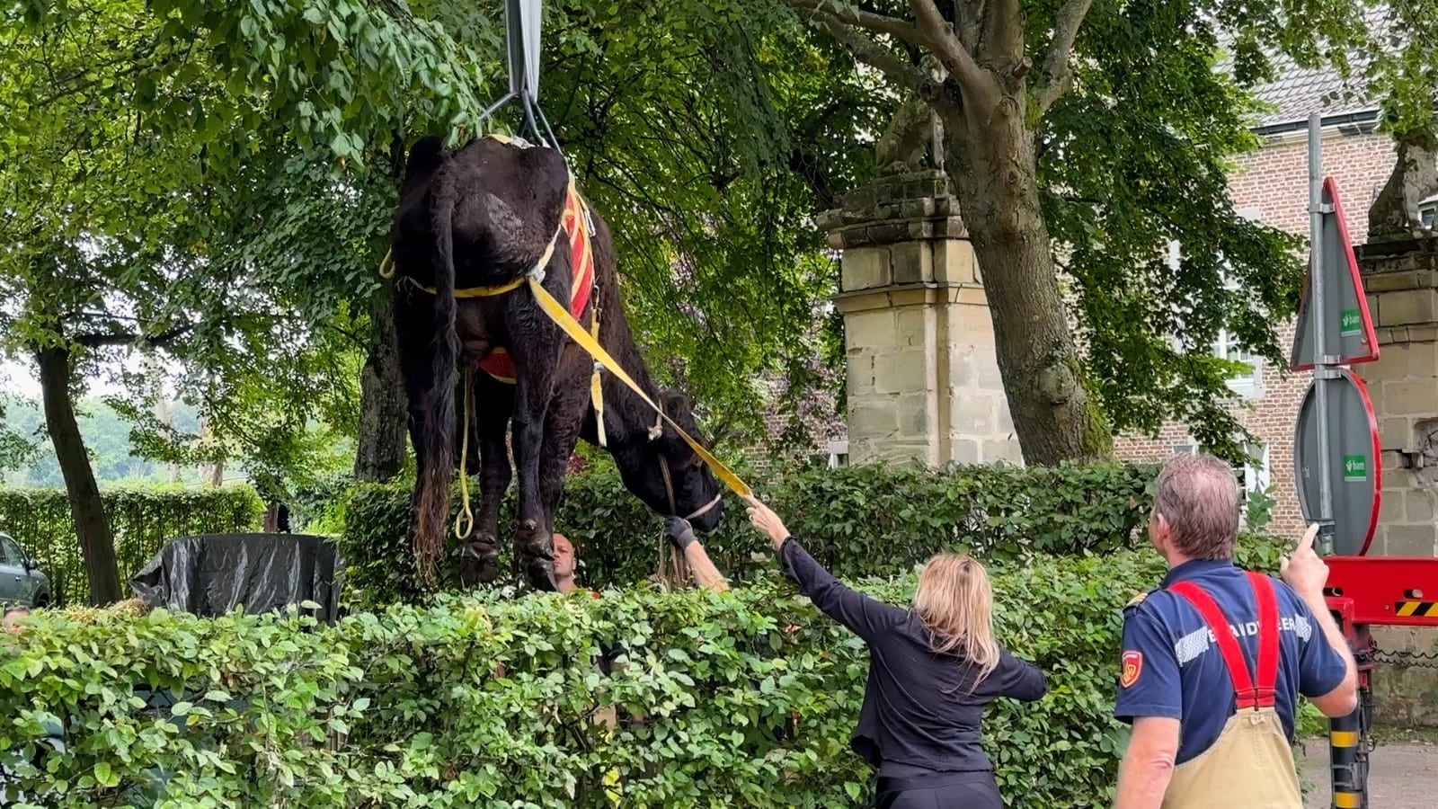 Opluchting na redding van Archibald (17): zat ruim een uur vast in sloot