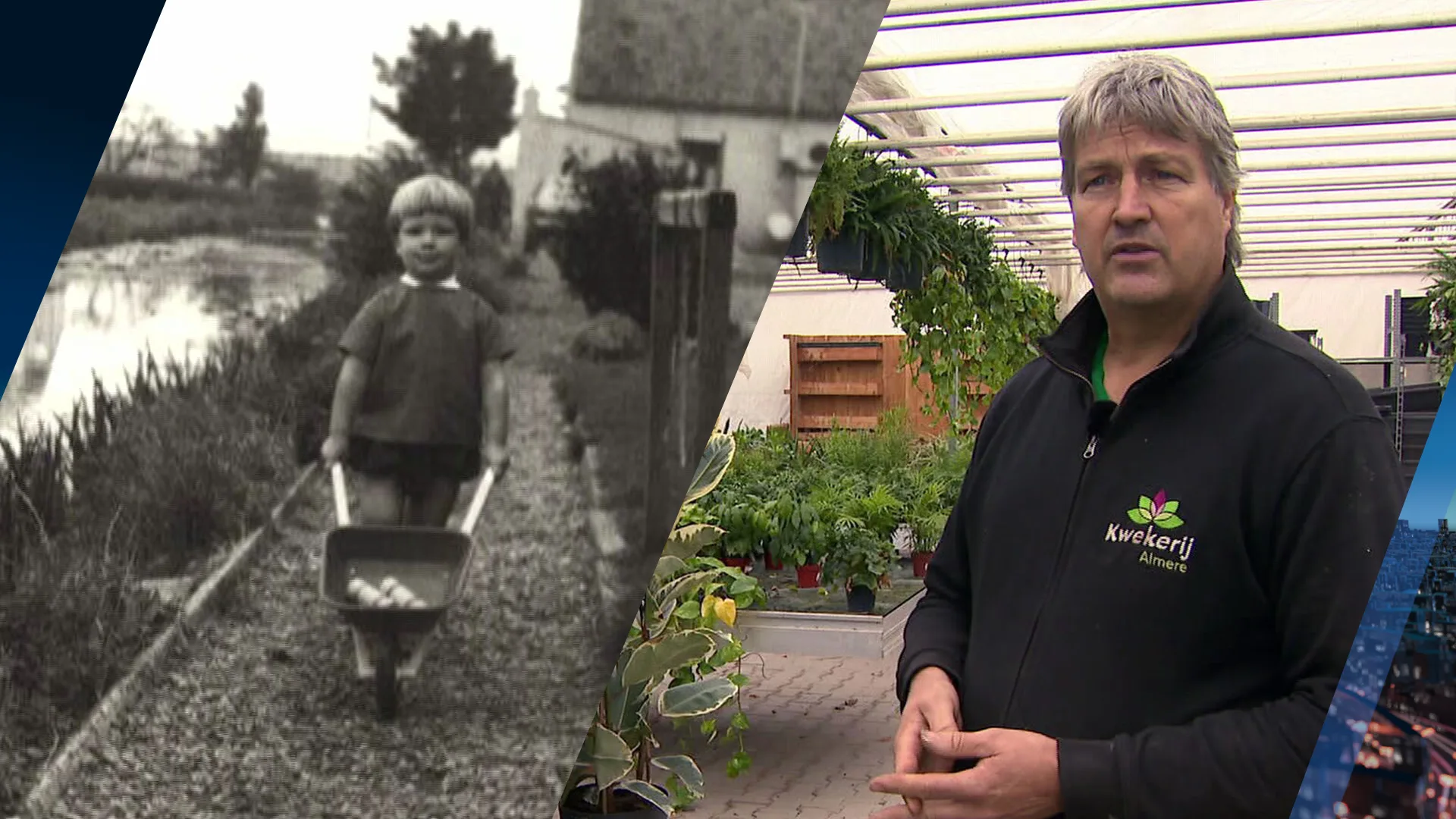 #CrisisvanNL | Koude winter betekent na 54 jaar zwoegen genadeklap voor kweker Laurens