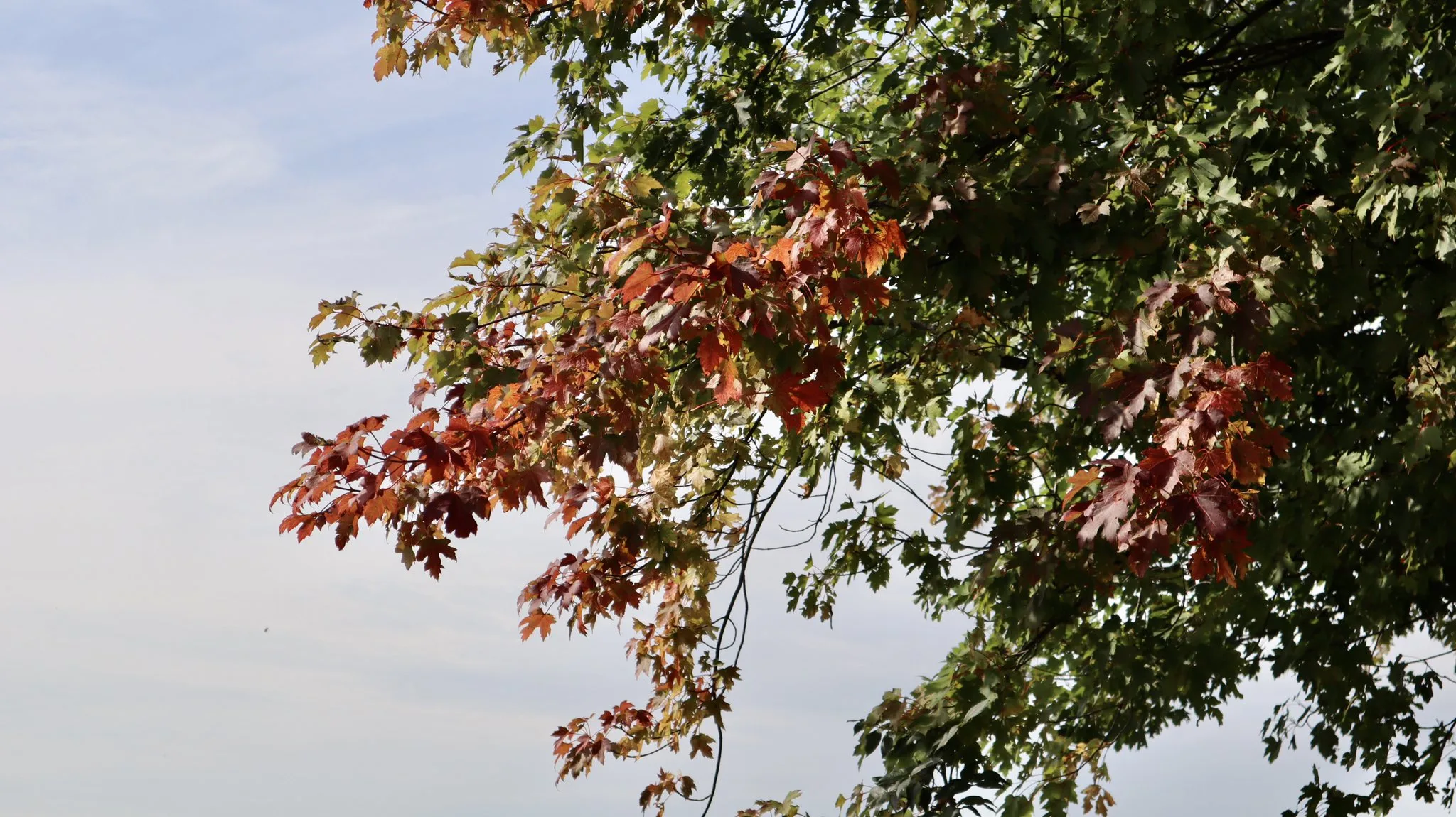 Rustig nazomerweer: zonnig en droog, wel iets lagere temperaturen