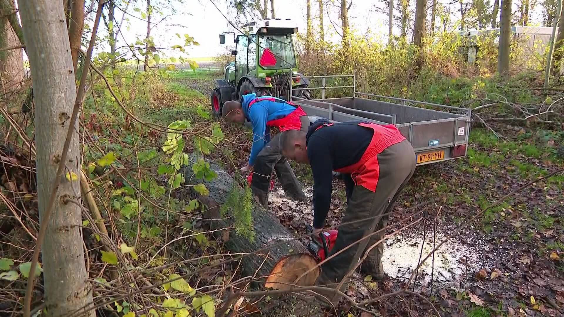 Studenten maken haardhout als hobby en verdienen goud geld door hoge gasprijzen