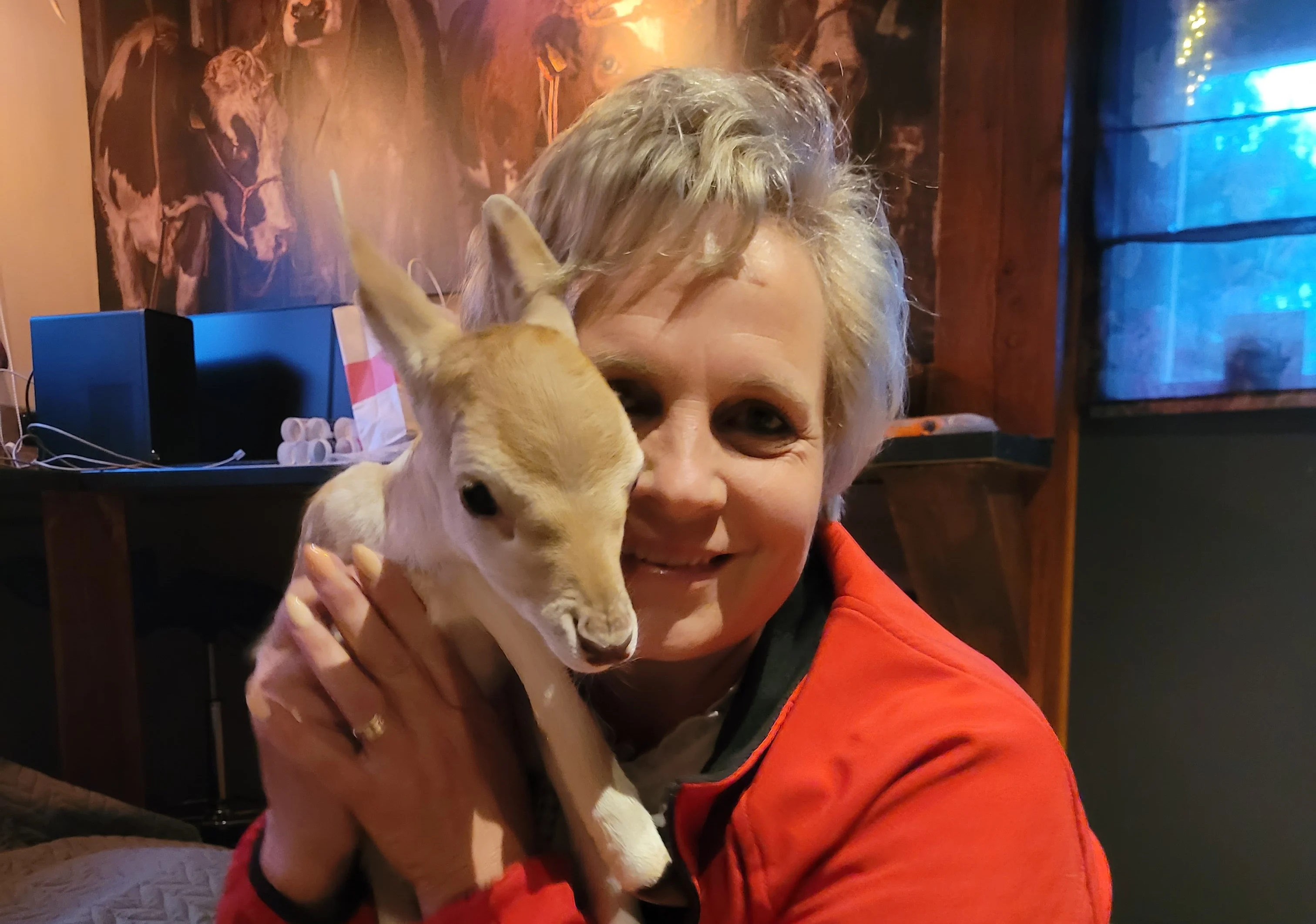 Verstoten damhert Ricky vindt nieuwe moeder in Miranda: 'Hij is ons oogappeltje'