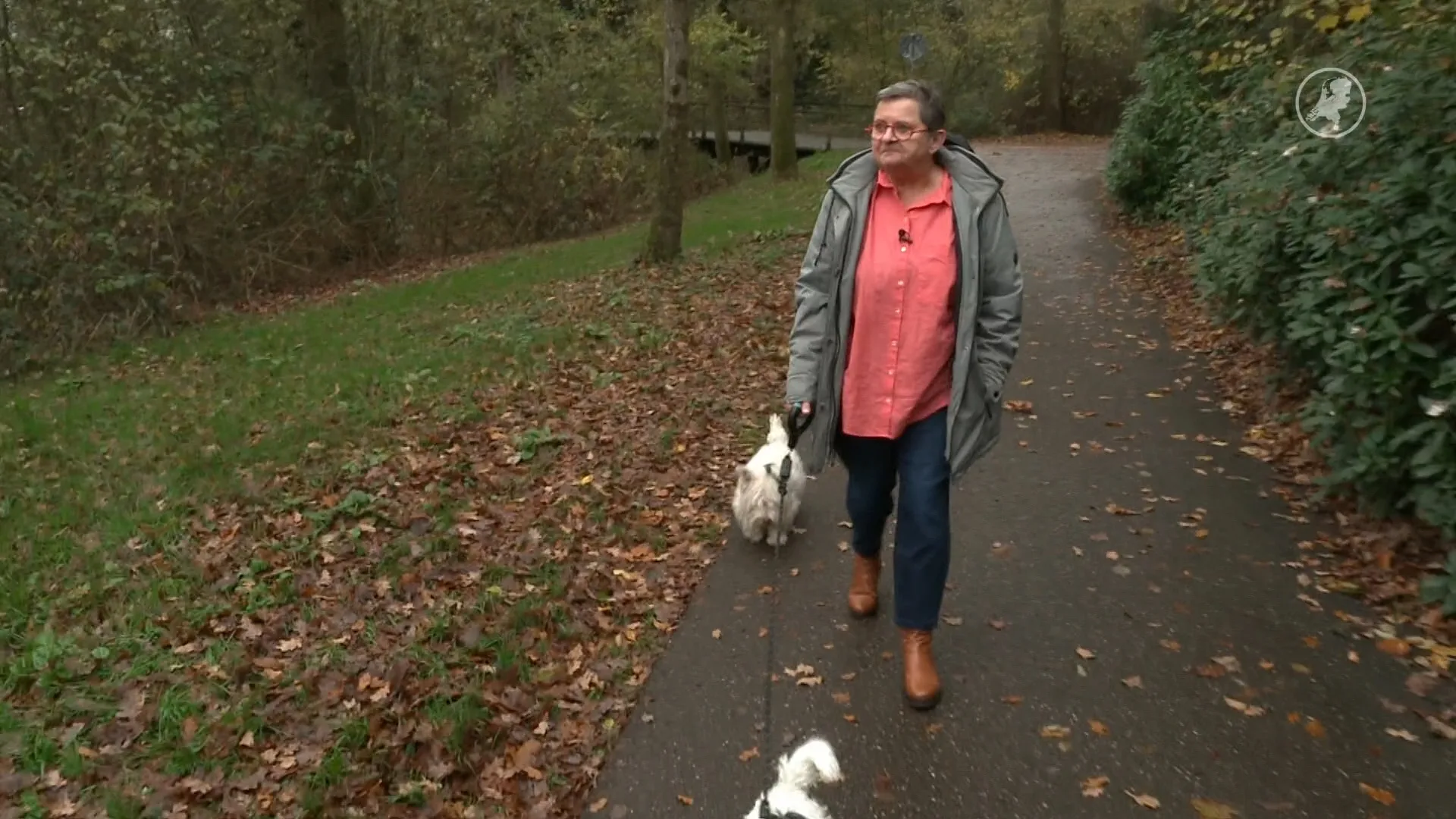 Wereld COPD-dag: onderzoek naar ziekte blijft nog steeds belangrijk