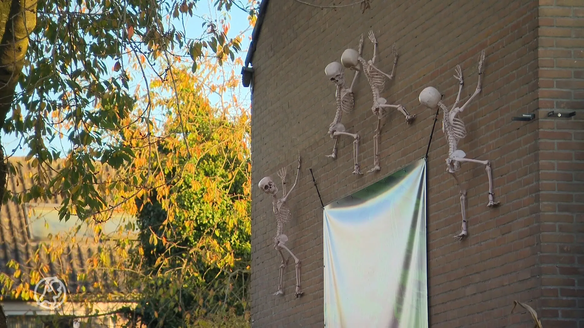 William in tranen: na 3 maanden voorbereiding sluit gemeente onverwachts zijn halloweenhuis