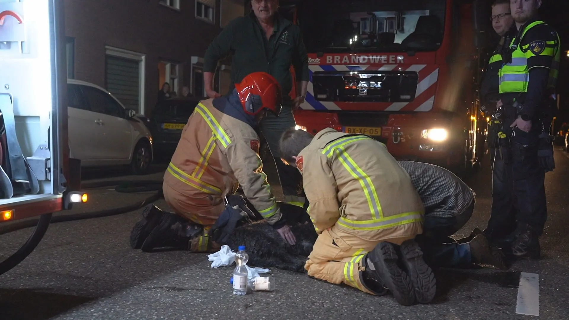 ZIEN: Hond gered uit brandend huis in Helmond