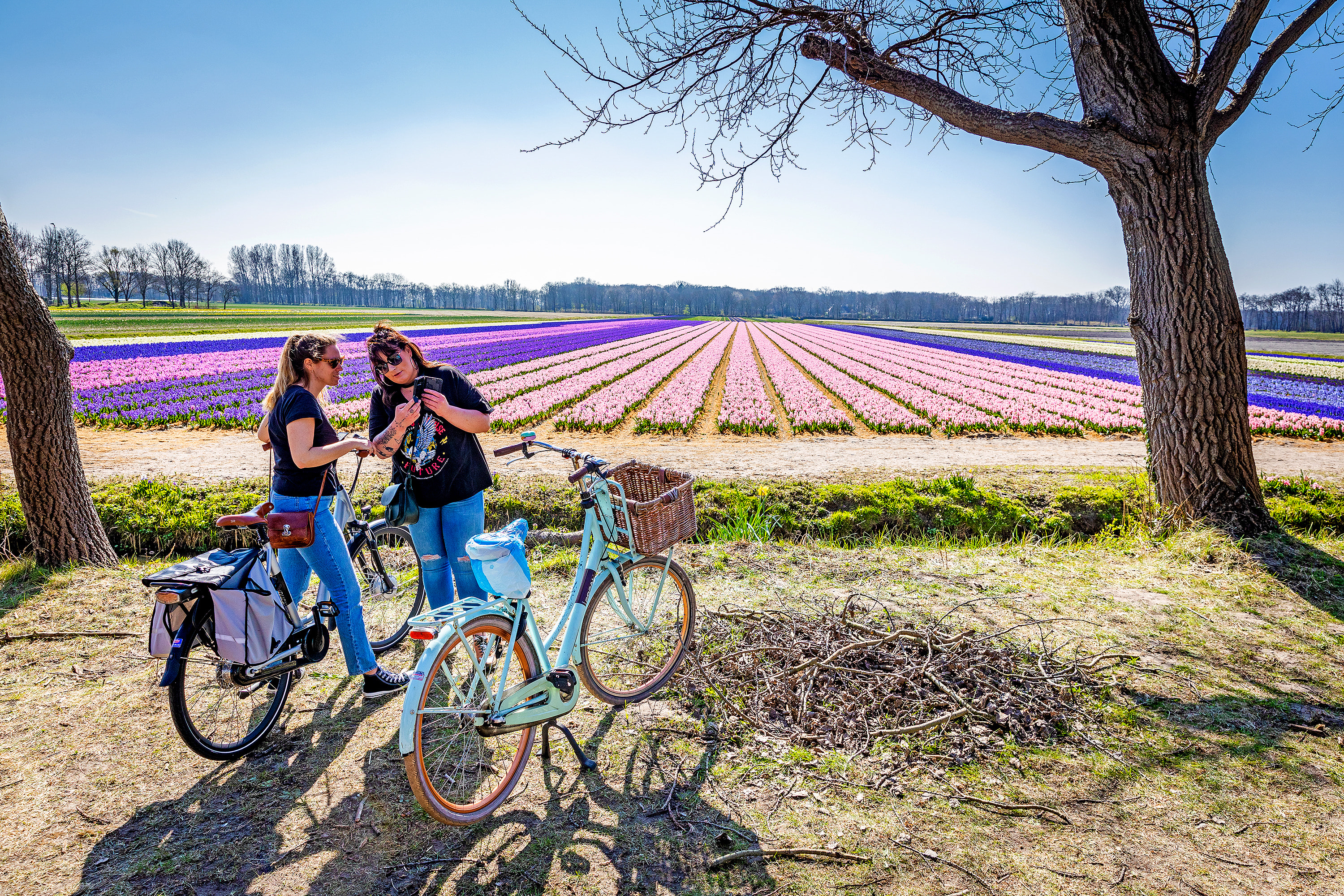 Meer dan 26 graden in Limburg: het is de warmste dag in maart ooit