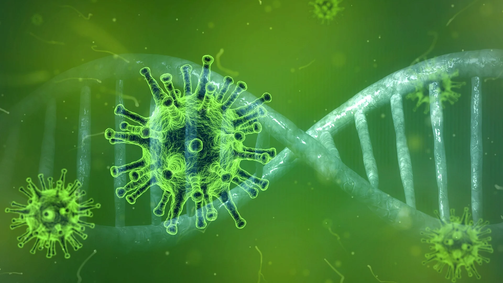 Corona nekt burgemeester Wijdemeren, ze  vertrekt om aanhoudende klachten