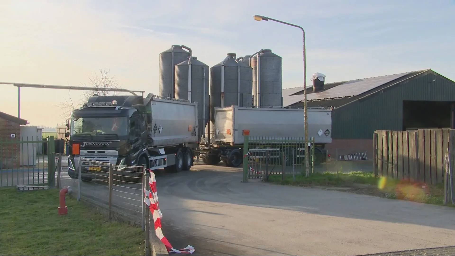 Vogelgriep in Limburgs kalkoenenbedrijf, duizenden dieren geruimd