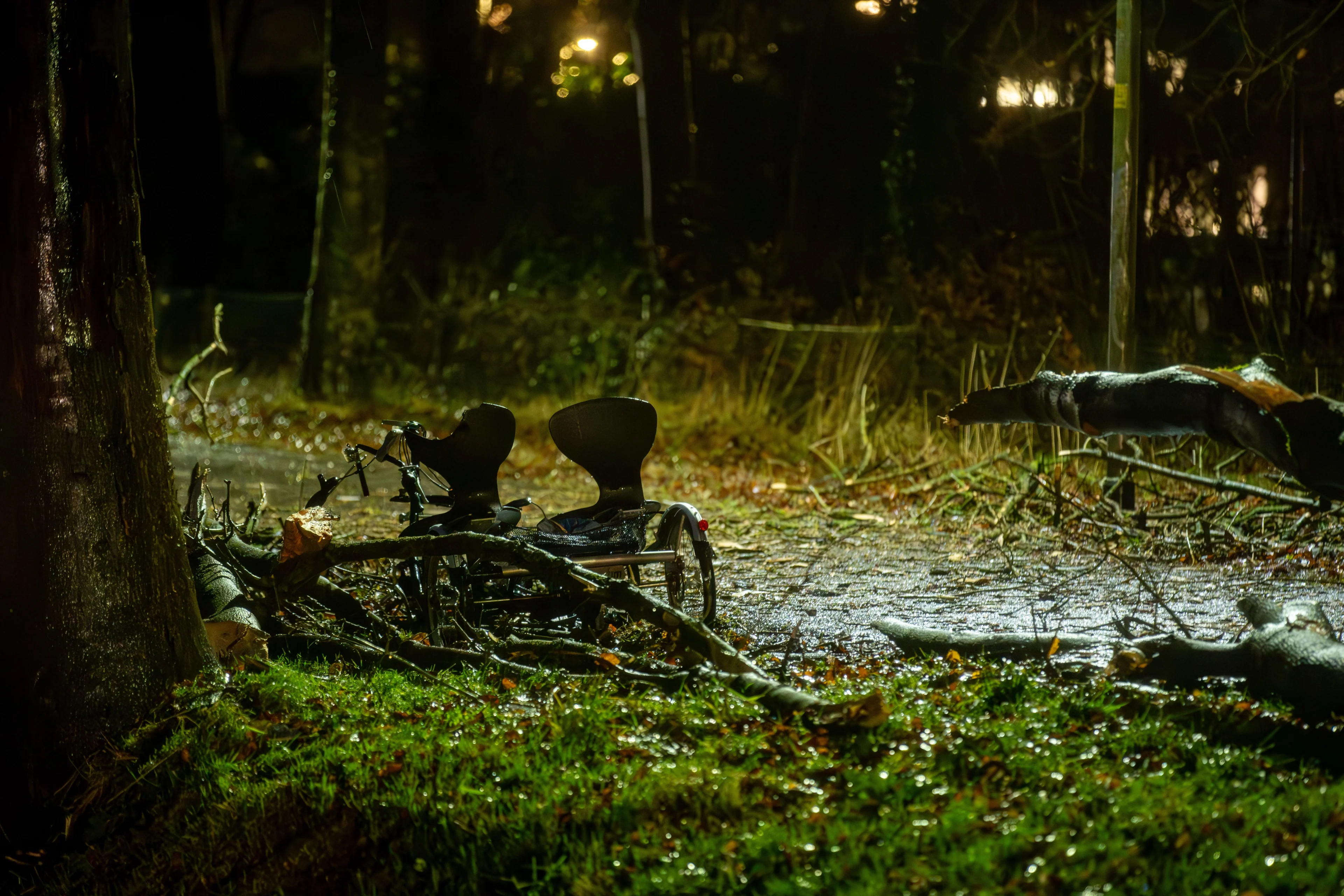 Vrouw (39) overleden nadat boom op duo-fiets valt in Wilp