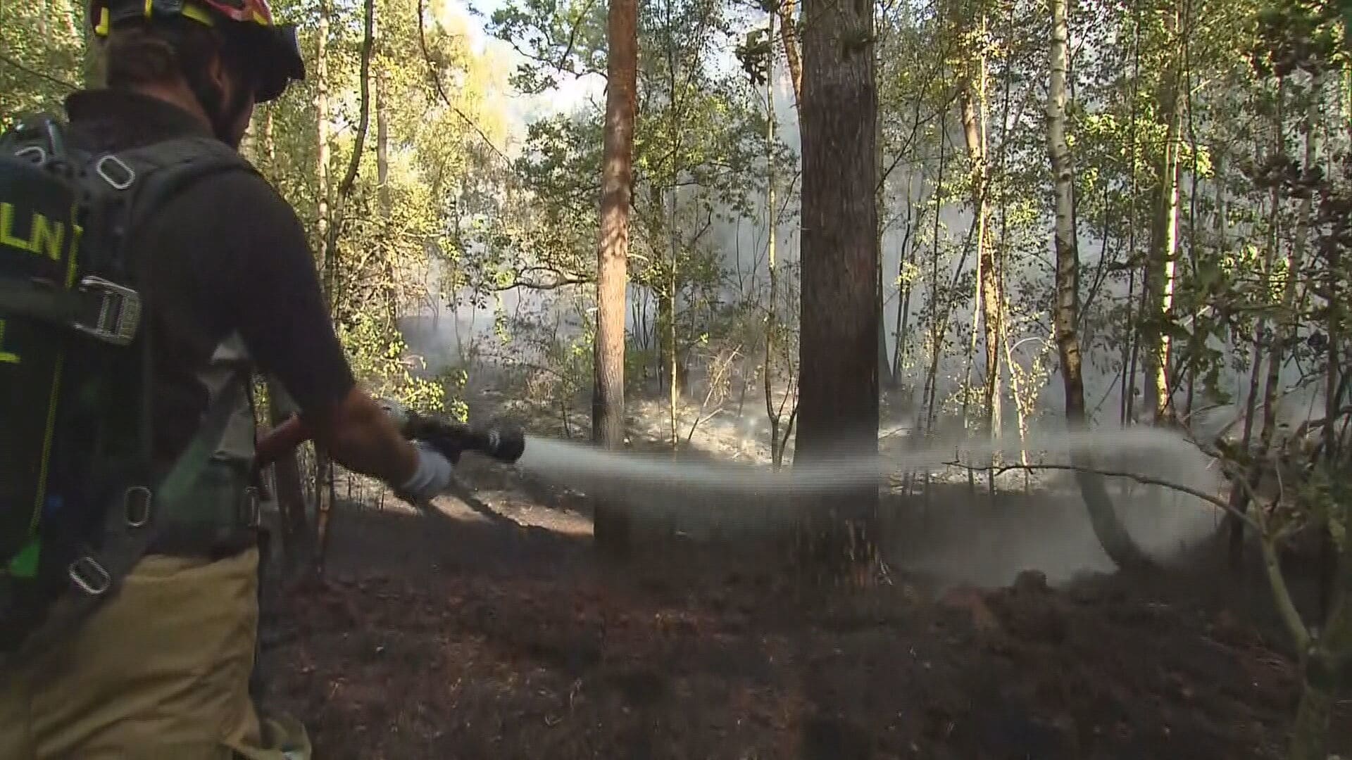 Nieuwe zeer grote bosbrand uitgebroken bij Limburgse Kessel