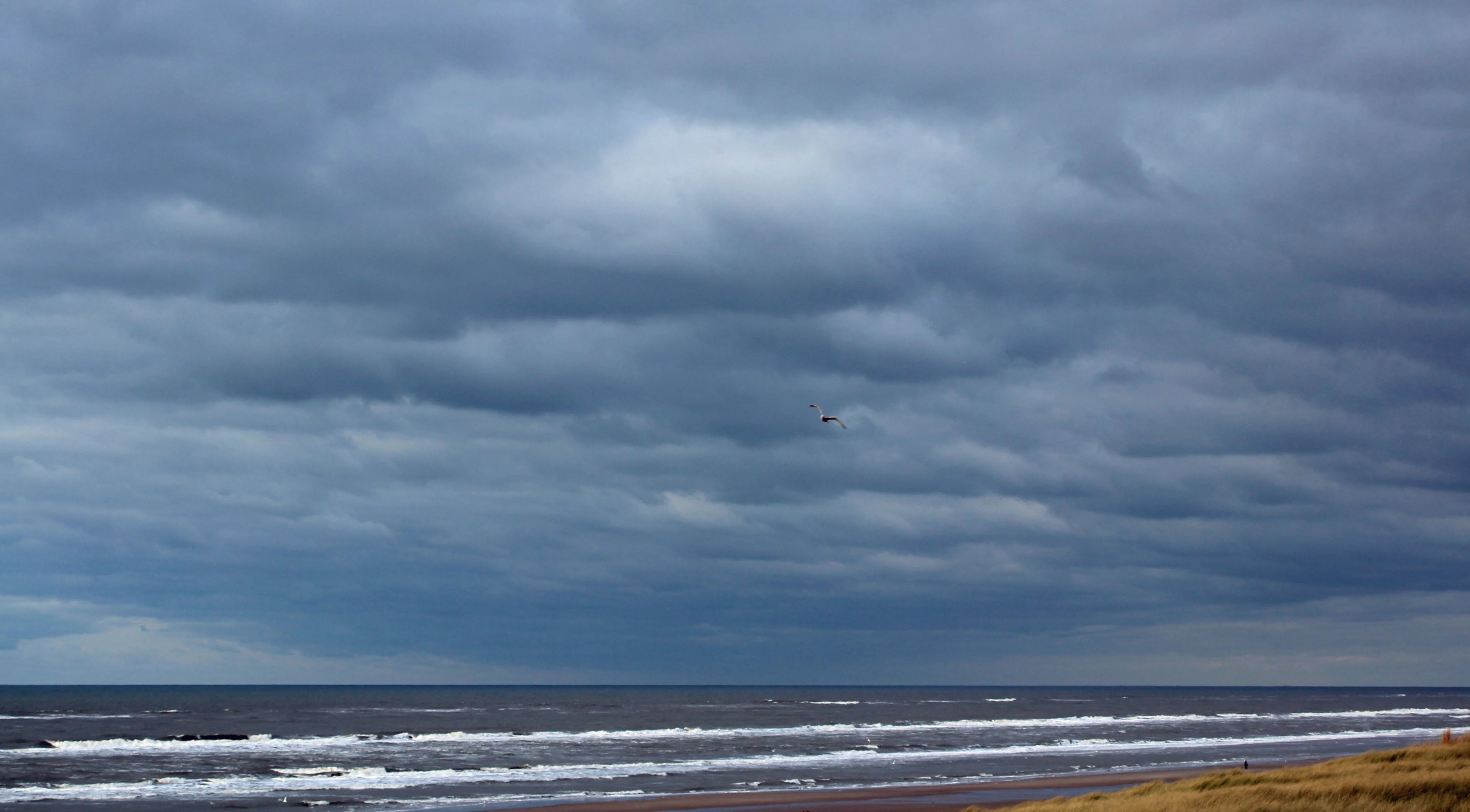 Weekend nat en winderig, heel af en toe wat zonneschijn