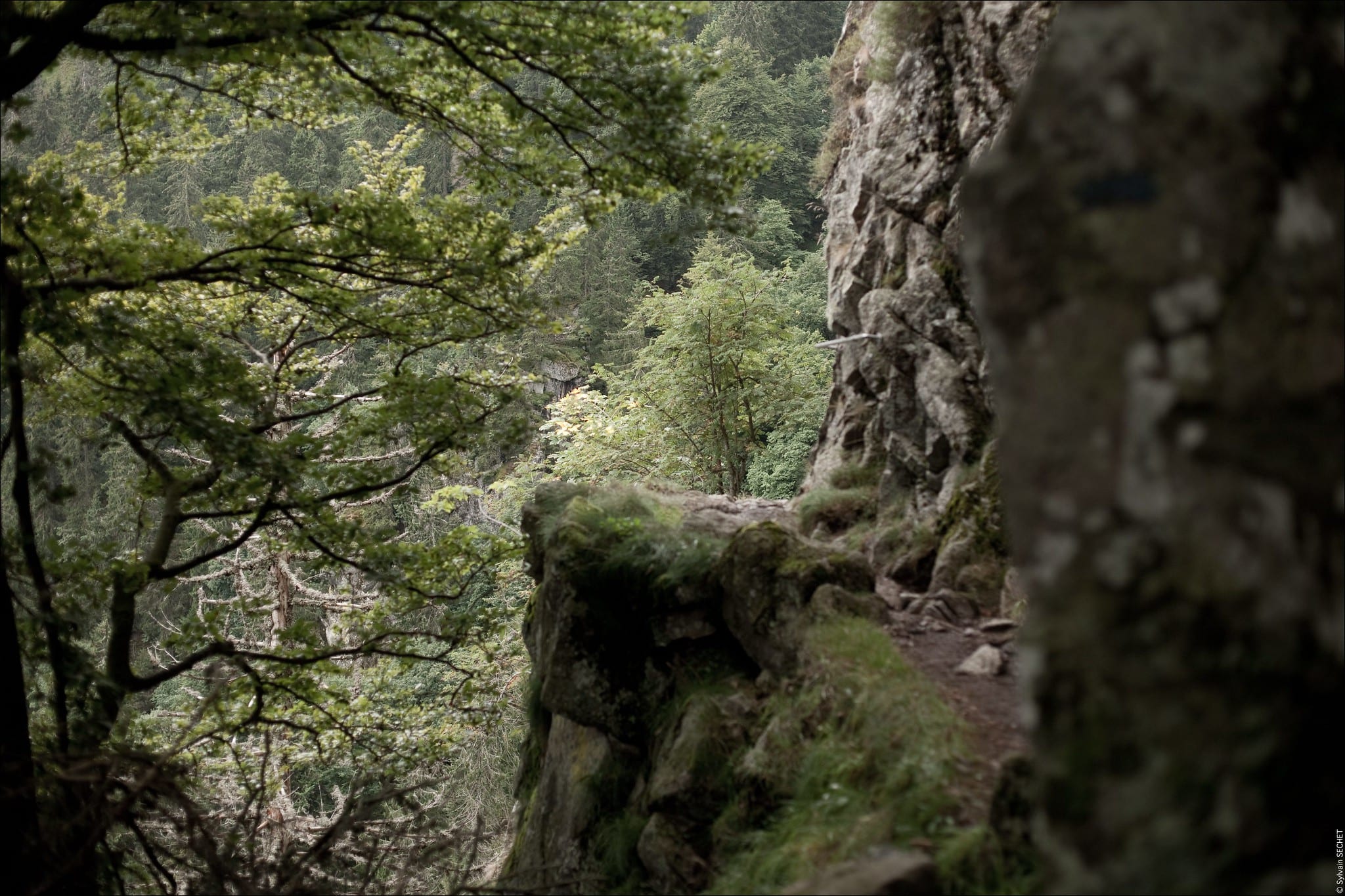 Nederlander (53) overlijdt na val van tientallen meters in Vogezen