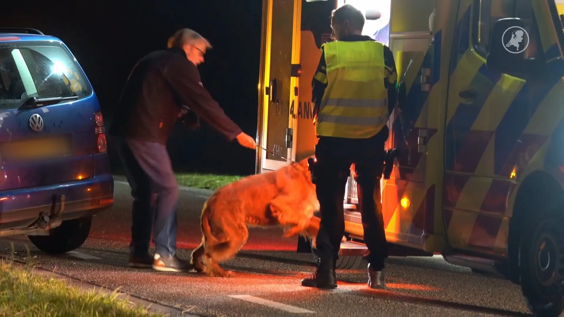Hond springt ambulance in om bij baasje te blijven na crash Oldehove