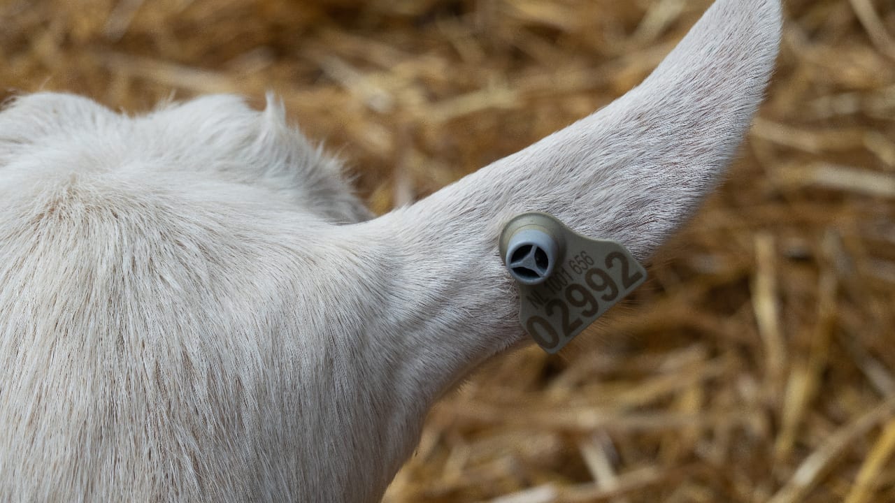 Q-koortspatiënten blij dat RIVM relatie met coronavirus onderzoekt
