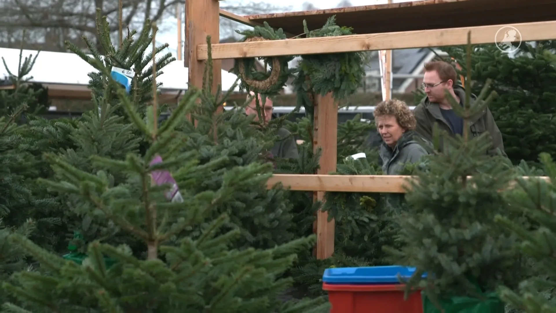 Kerstboom-run na vertrek Sint: ‘Drukste dag van het jaar’
