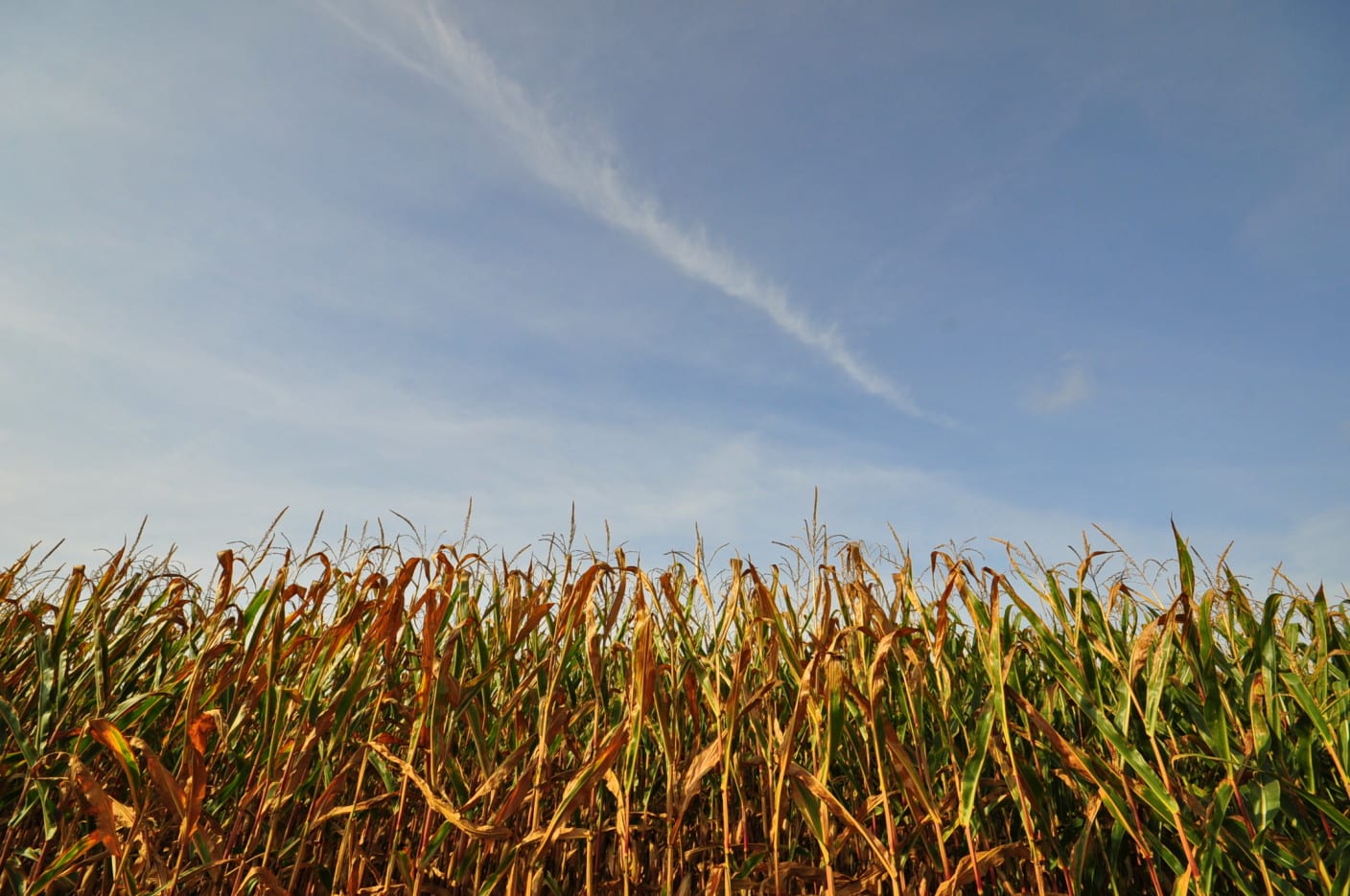 Een warme en zonnige zomerdag, maar mét een klap onweer