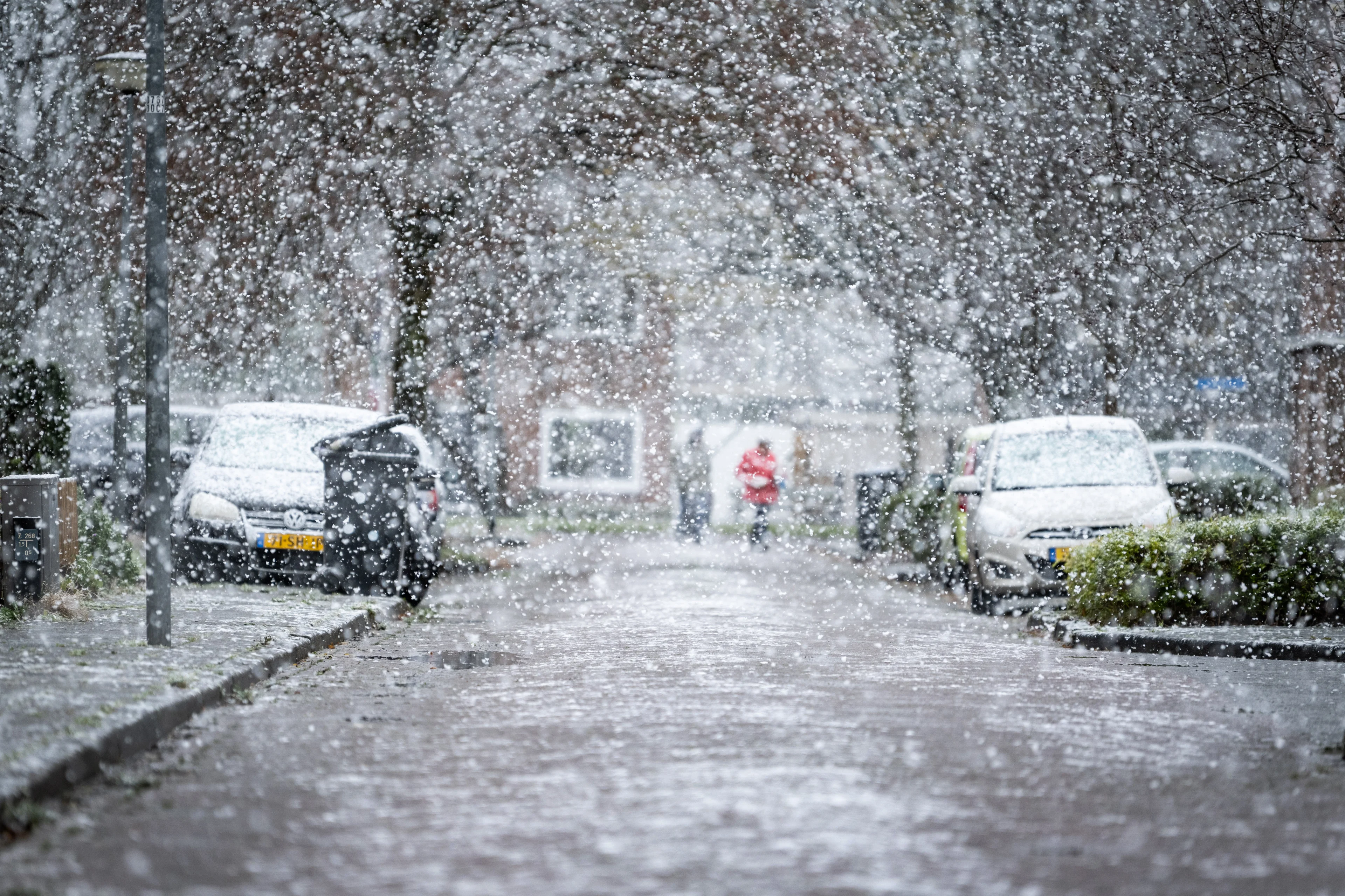 Op zoek naar sneeuwpret? Hier gaat het de komende dagen weer sneeuwen