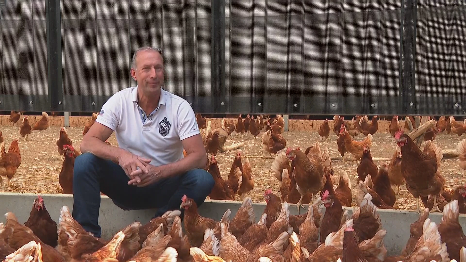 Vogelgriepvaccin opluchting voor pluimveehouder Theo: 'Positief nieuws'