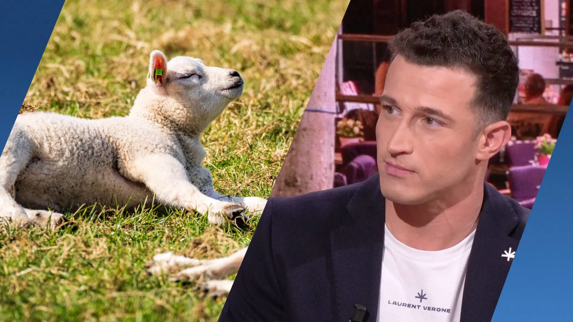 Van schaatsen naar 17 graden: hoe kan het zo snel opwarmen?