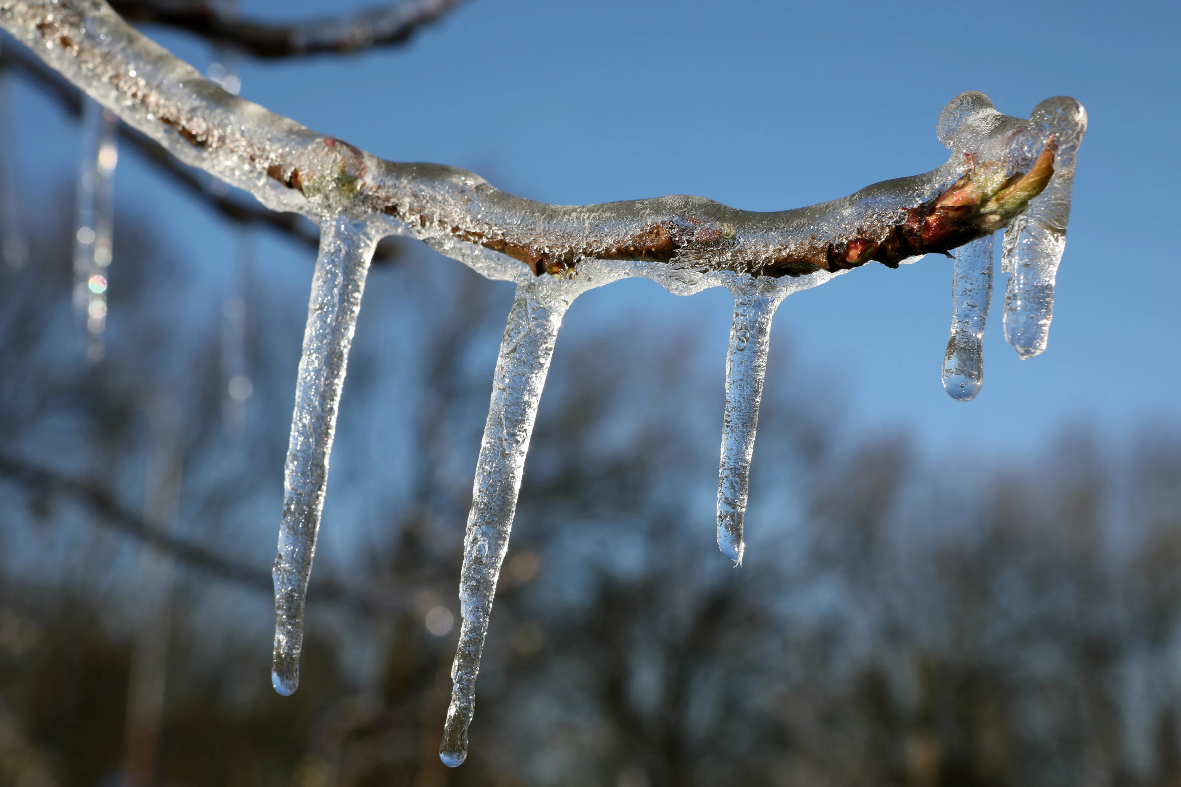 Einde aan de kou in zicht, bewolkt weekend voor de boeg