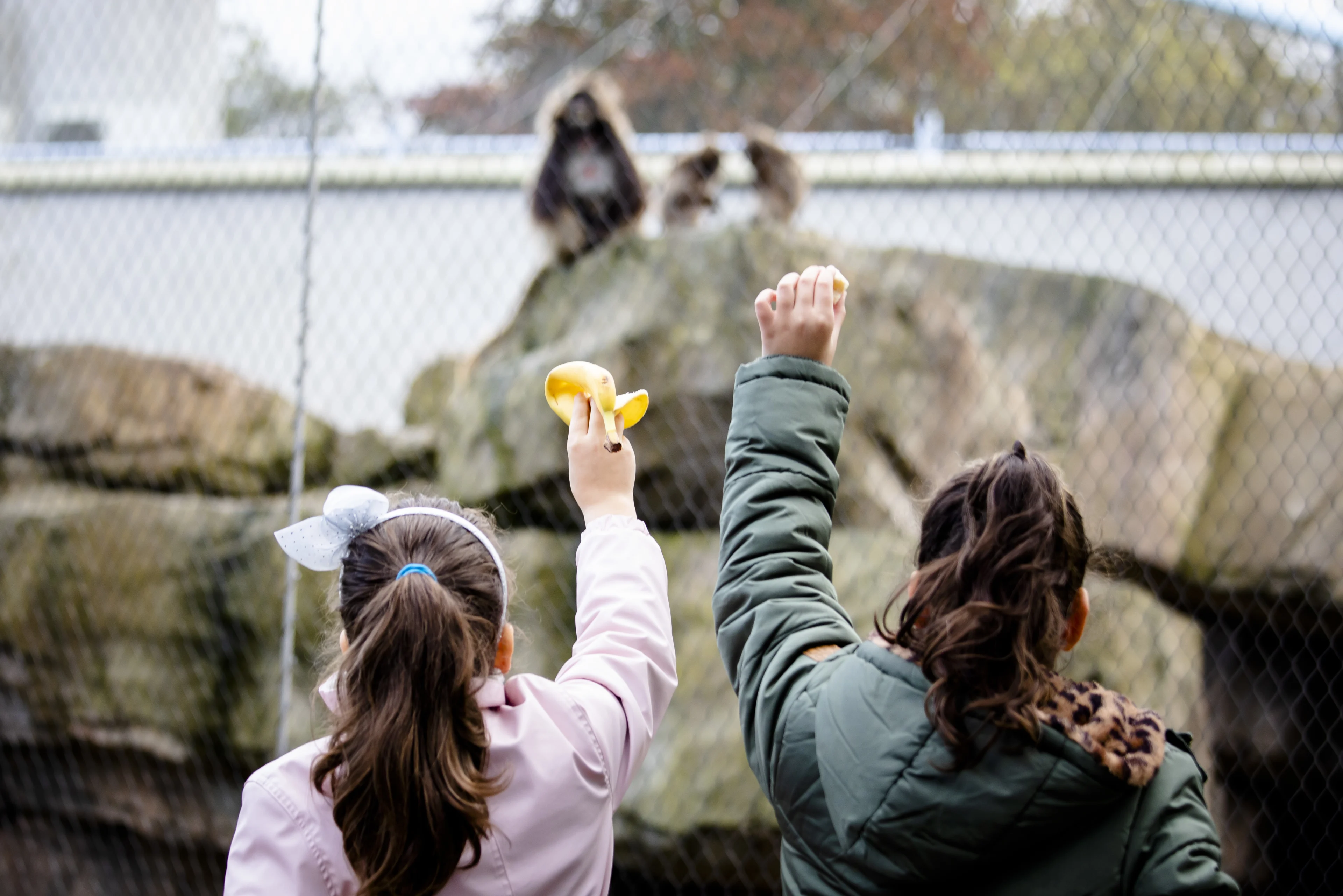 Dagje dierentuin steeds populairder