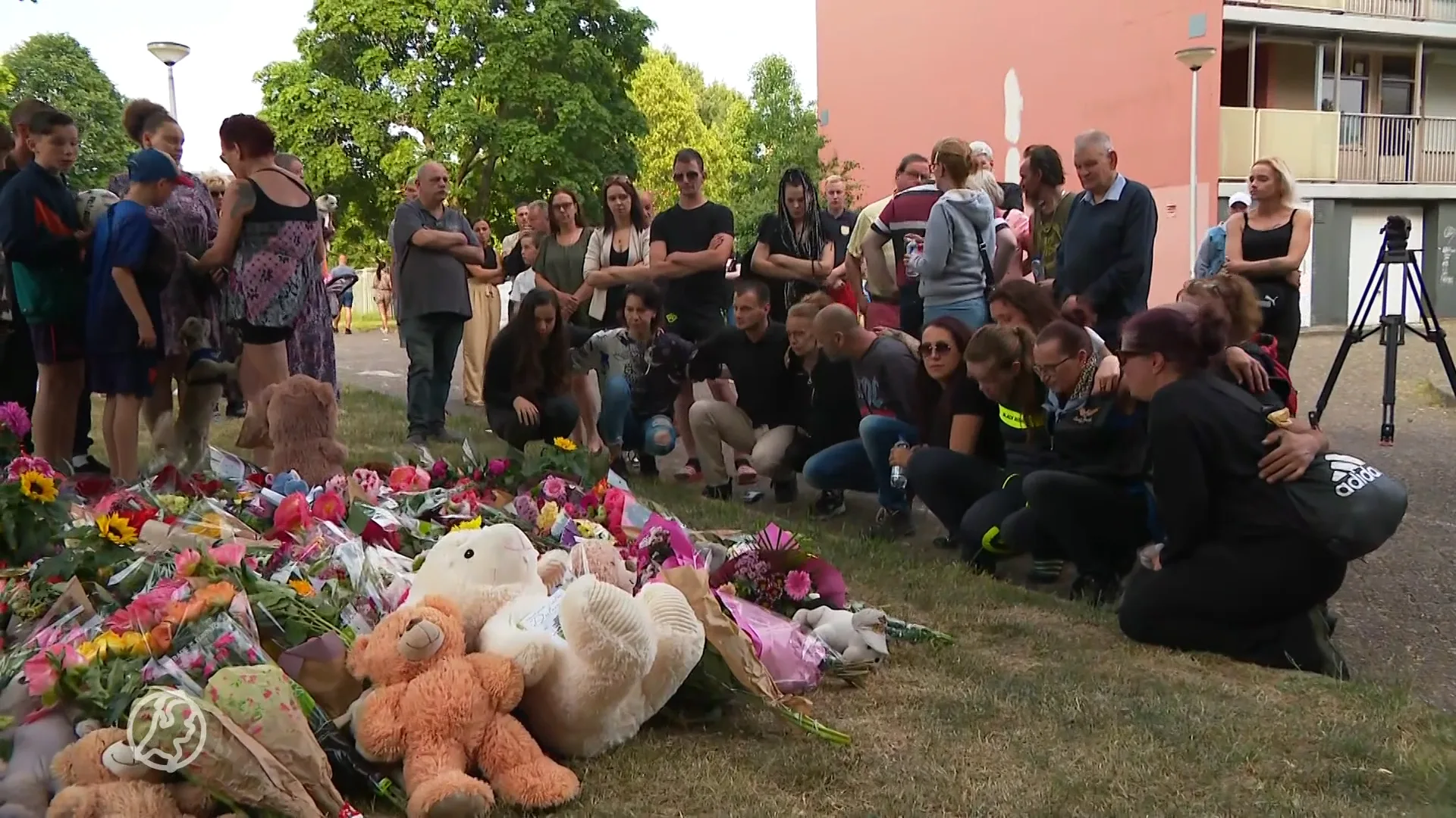 'Donny M. bekent ontvoeren en doden Gino (9)'