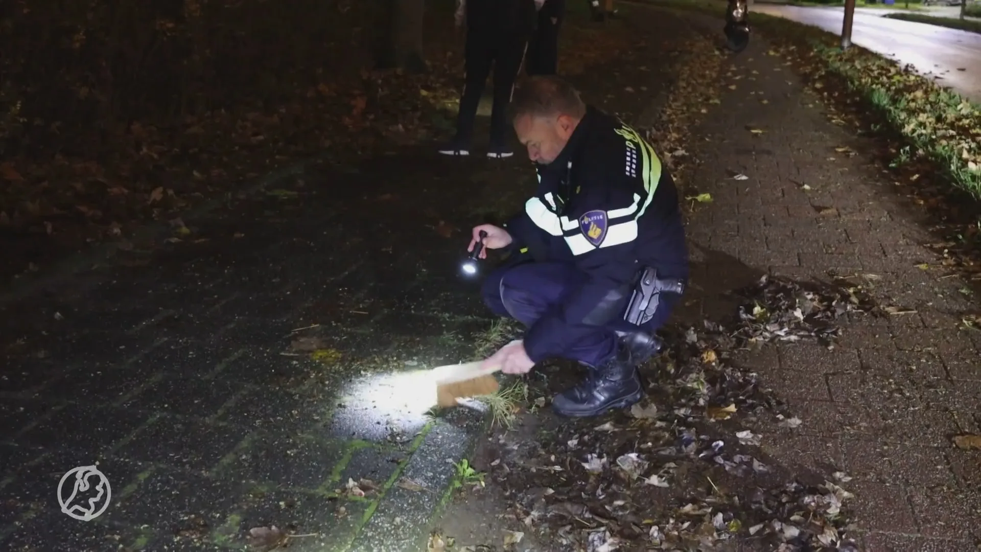 Fietser raakt tanden kwijt na val in Lisse: hulpverleners zoeken mee
