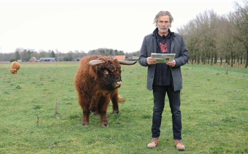Briesende stier neemt columnist Herman Sandman bijna op de hoorns