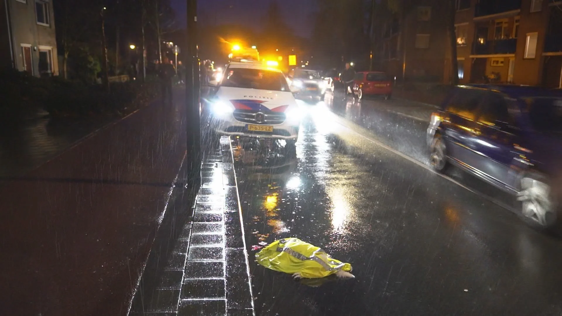 Hond doodgereden en vrouw gewond, automobilist rijdt door