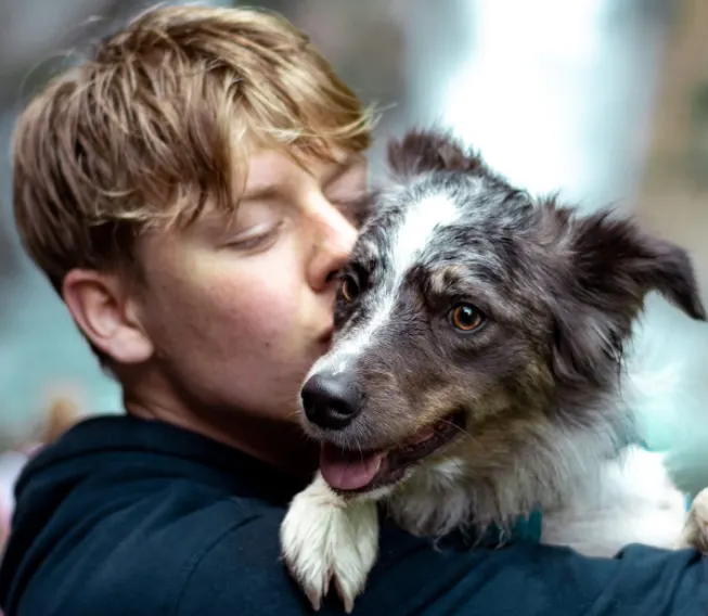 Goed nieuws: ontvoerde hond Mira is weer terug bij baasje Karst