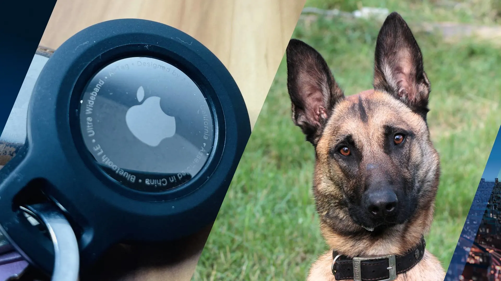 'Pas op met gebruik AirTag bij je huisdier, kan gevaarlijk zijn'