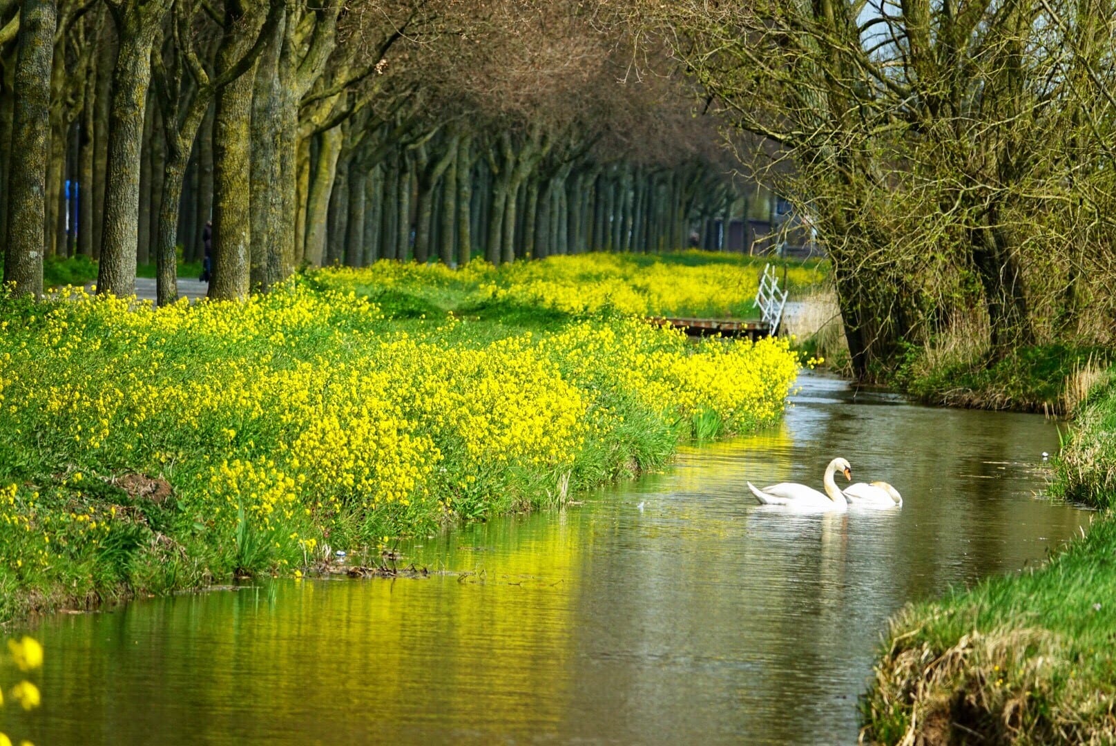 Weersverwachting: koud in het noorden, iets warmer in het zuiden
