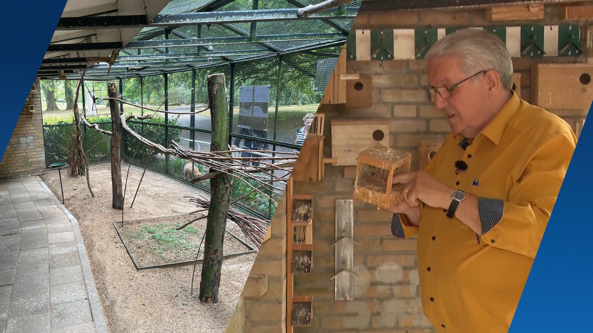 Dieven slaan opnieuw toe bij volière Eindhoven: vogels en nestkasten gestolen