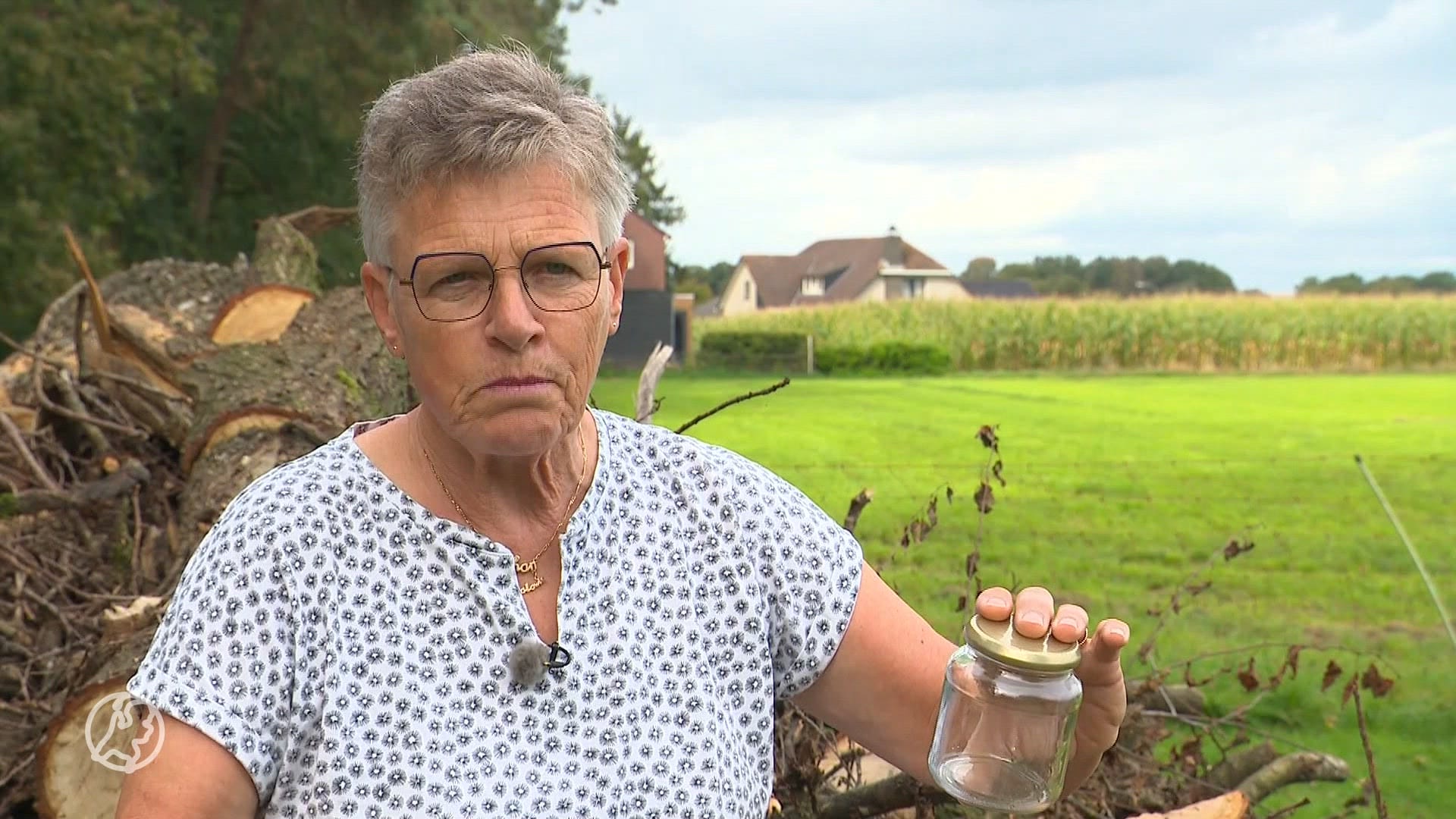 Buurtbewoners in Rijsbergen moedeloos door jarenlange muggenplaag