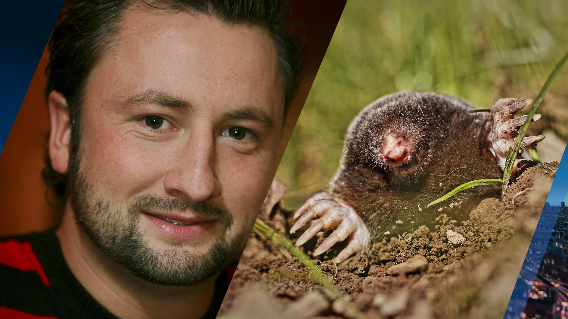 Oud-Mol Dennis Weening snapt dat Vlaamse Mol ermee is gekapt: 'Hele verantwoordelijkheid'