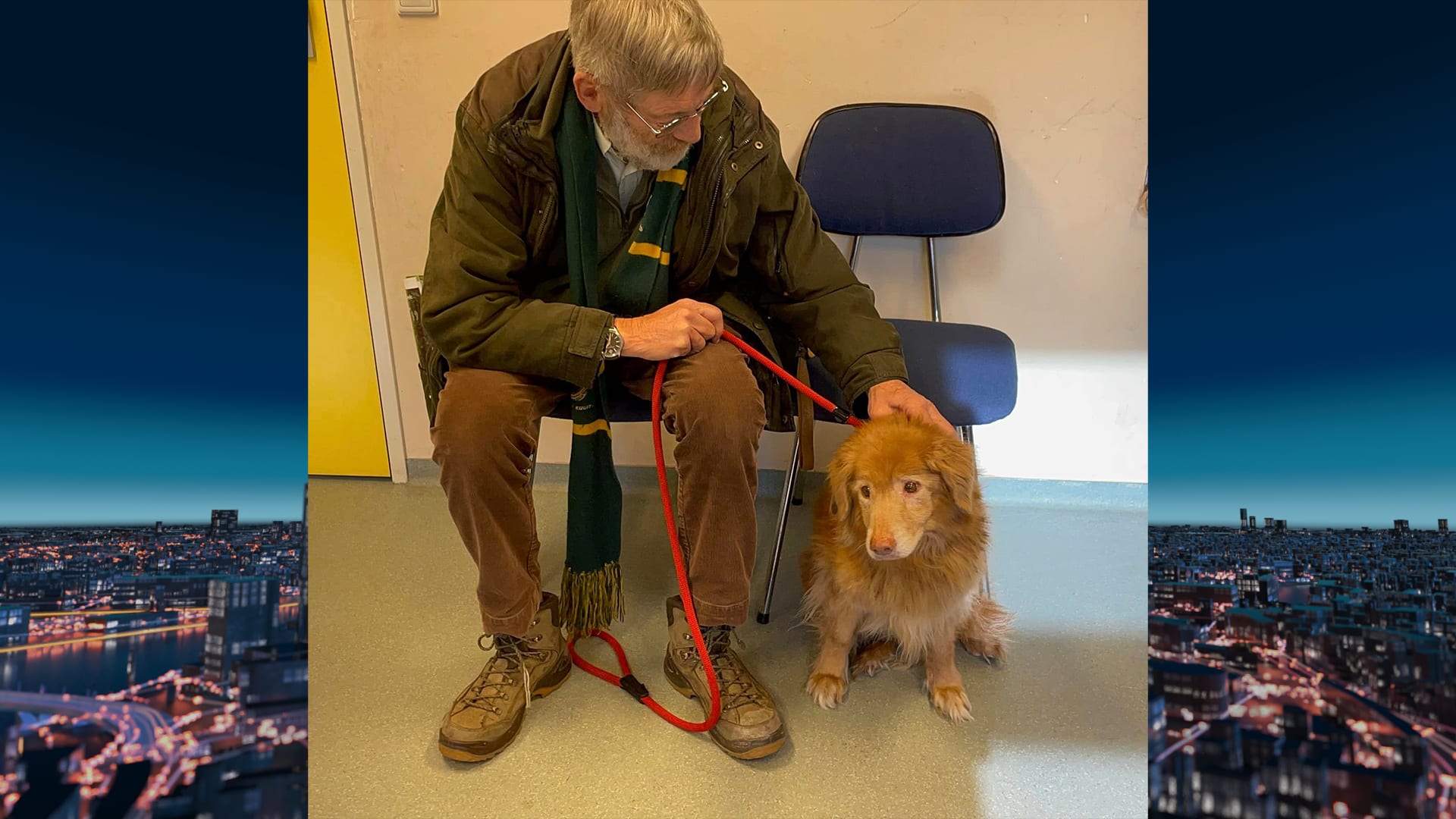 Vermiste hond Jill na bijna vijf jaar weer herenigd met baasje
