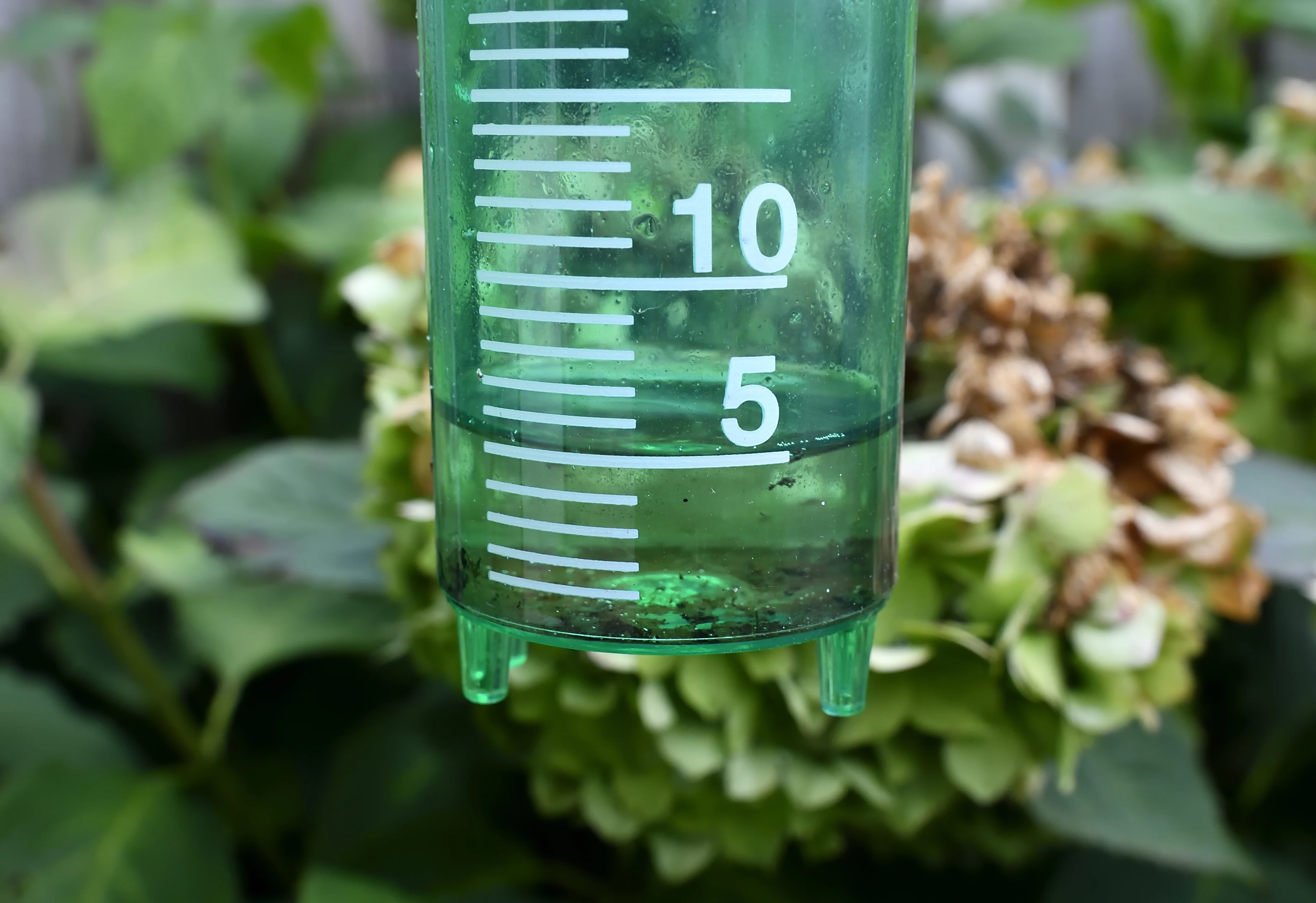 Leuk die regen, maar het heeft niks kunnen uithalen tegen de droogte in ons land