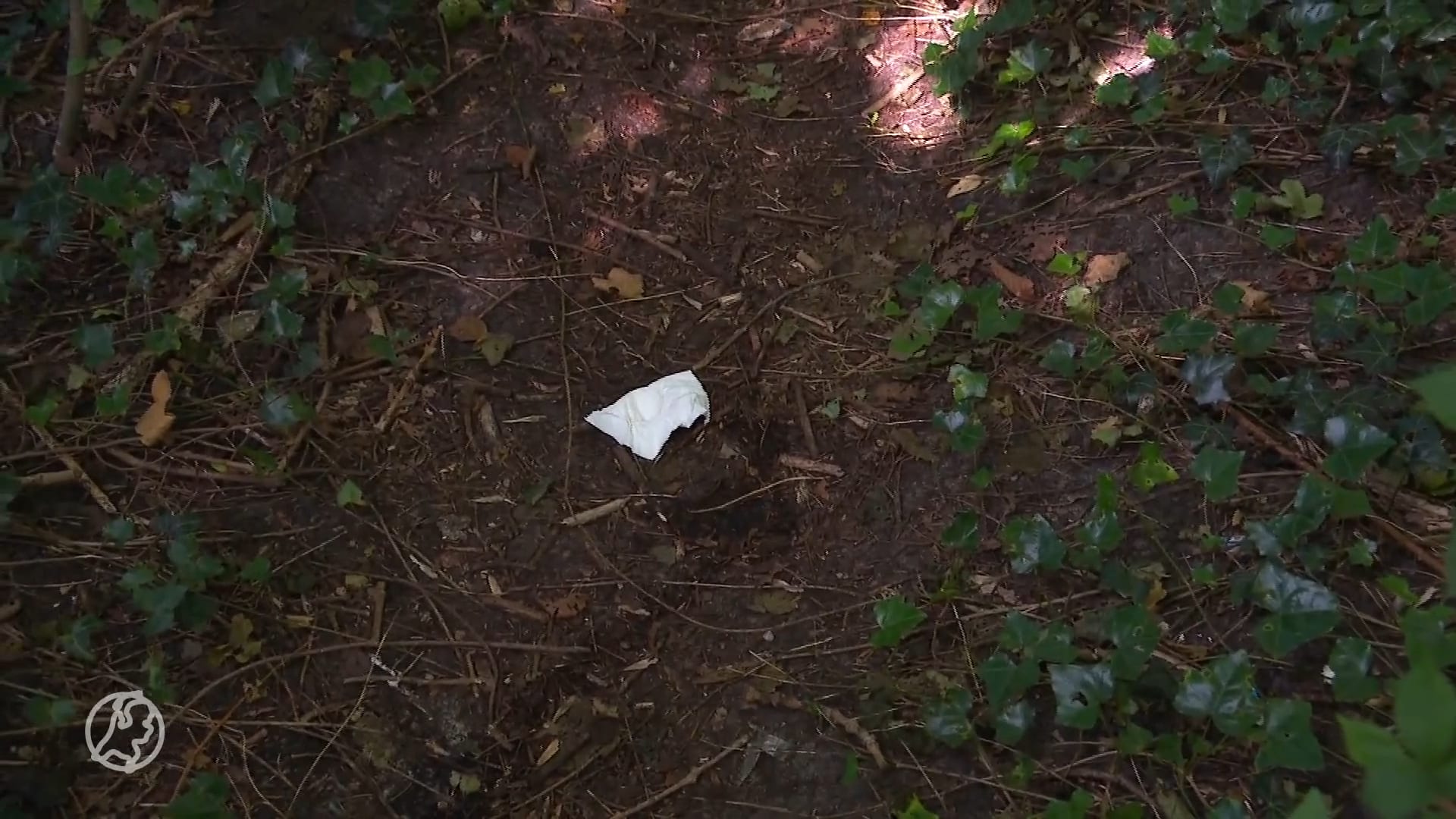 Enorm poepprobleem bij Maarsseveense Plassen: 'Mensen struikelen letterlijk over drollen'