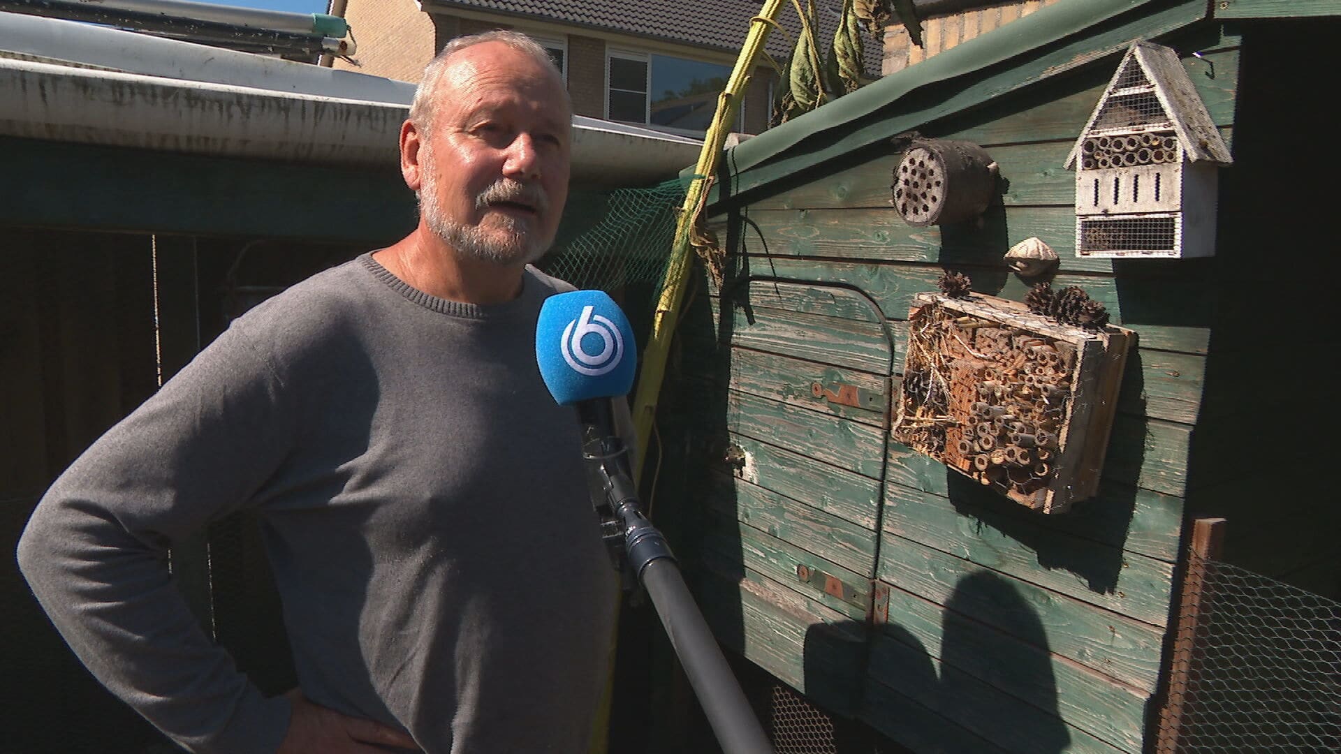 Jago uit Best lokt loslopende nerts met doodgebeten kip