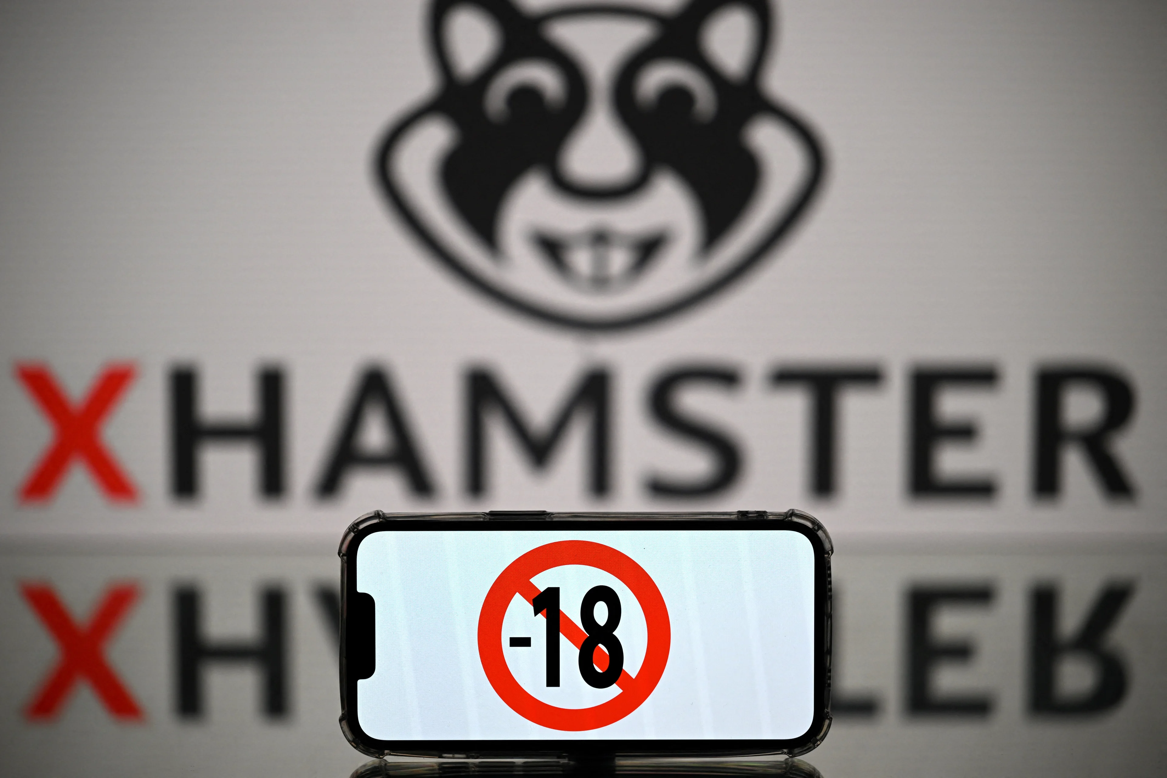 Rechter verbiedt amateurbeelden zonder toestemming op pornosite