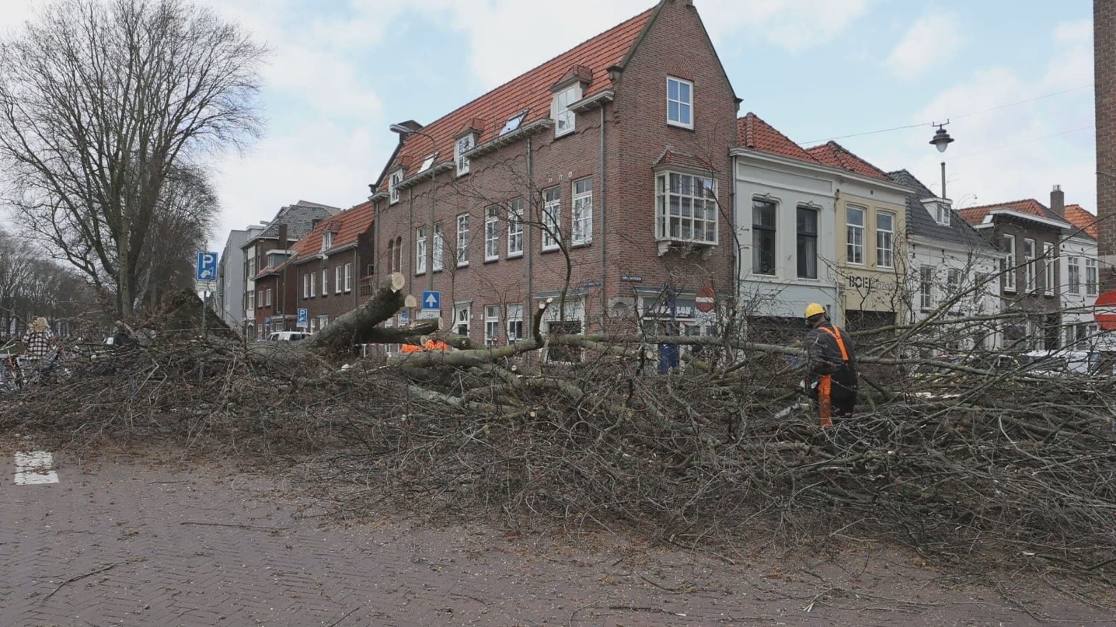 Omgewaaide boom valt op moeder en baby in Den Bosch