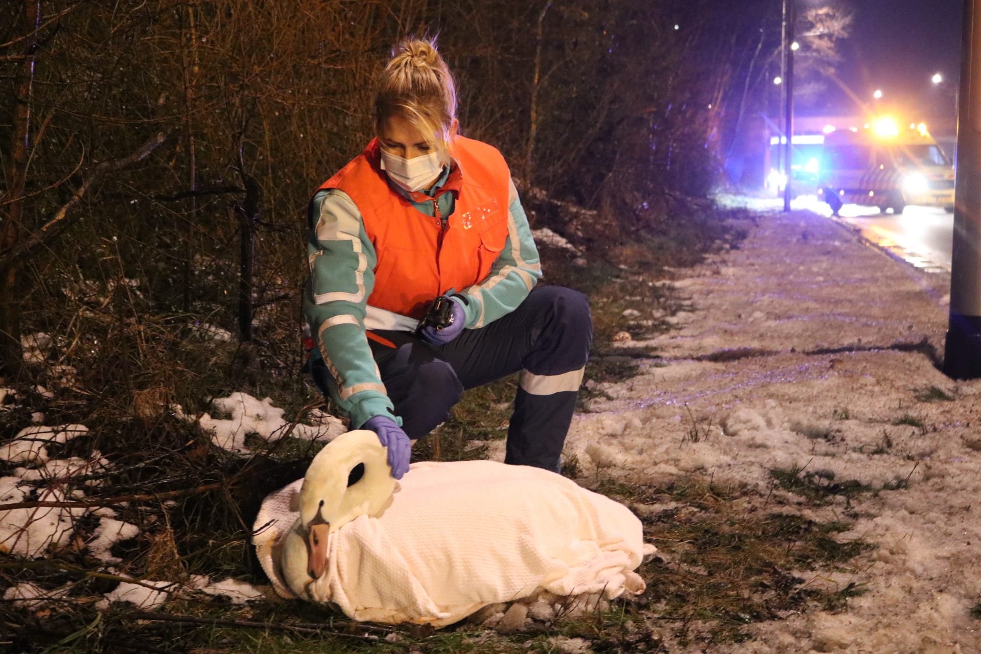 Auto's botsen op elkaar in Katwijk na aanrijding met zwaan