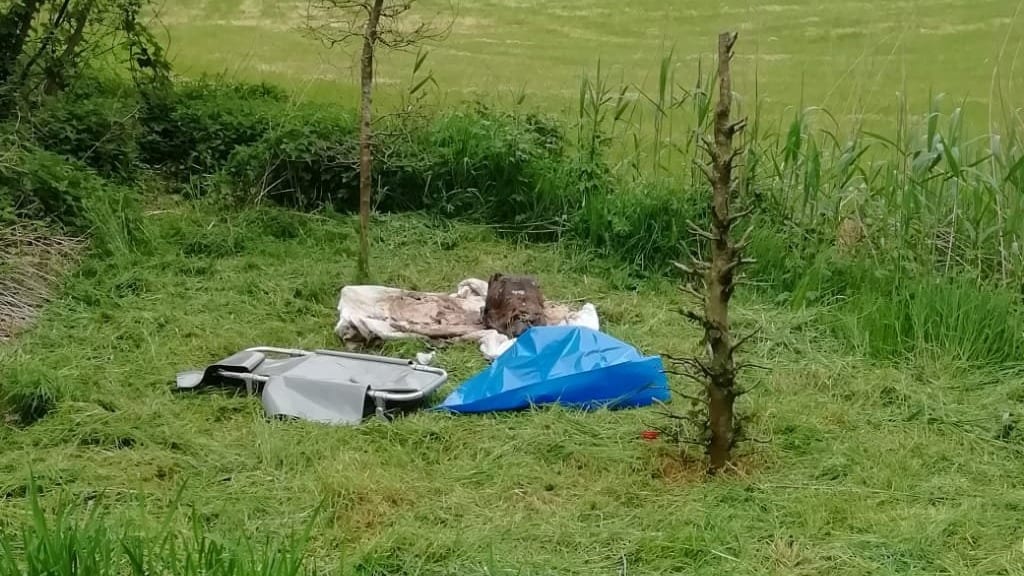Hond 'in verregaande staat van ontbinding' gevonden: 'Hopelijk geen pijn gehad'