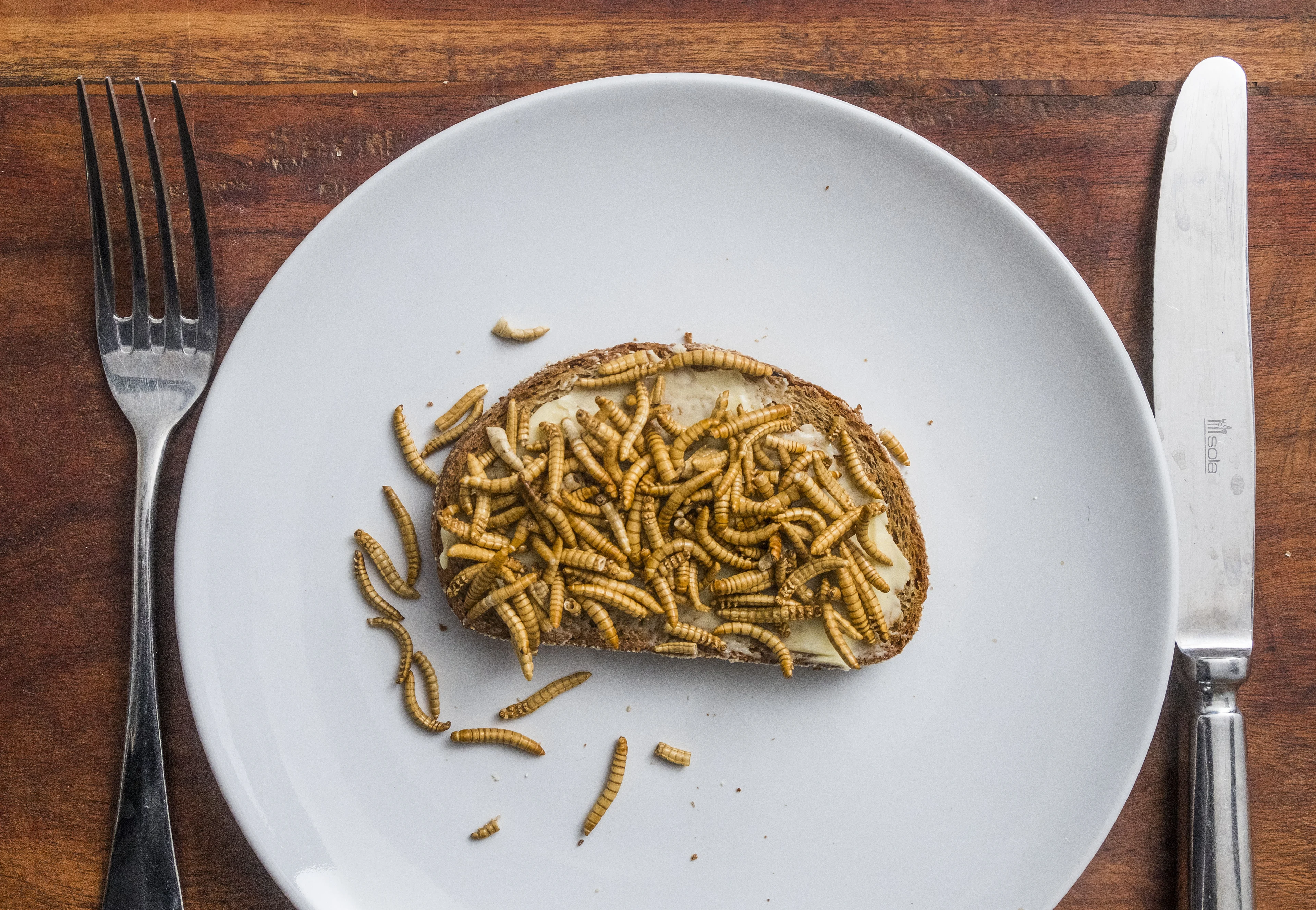 Leerlingen groep 3 krijgen wormen tijdens schooluitje: 'Werd ze opgedrongen'