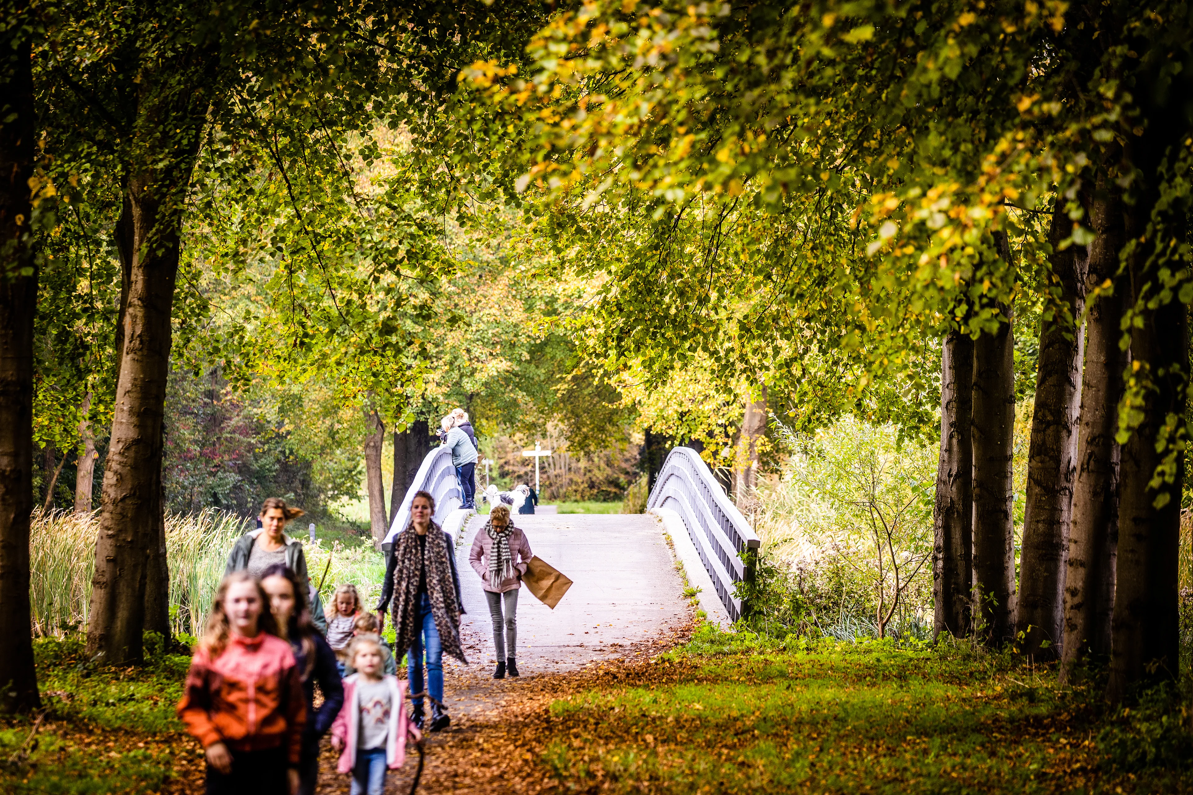 Eerste landelijke grondvorst van het najaar een feit, maar wat brengt het weekend?