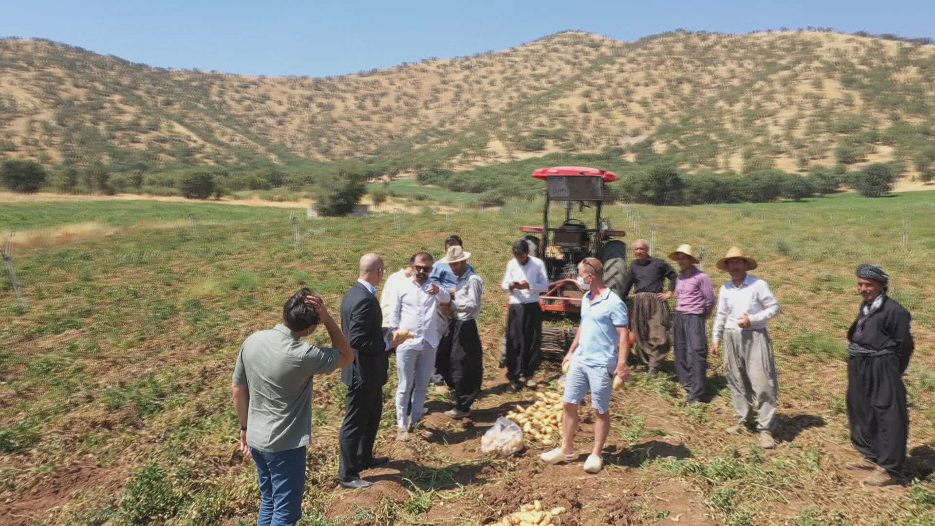 Groningse kleipieper doet het goed over de grenzen, aardappel is heuse hit in Irak