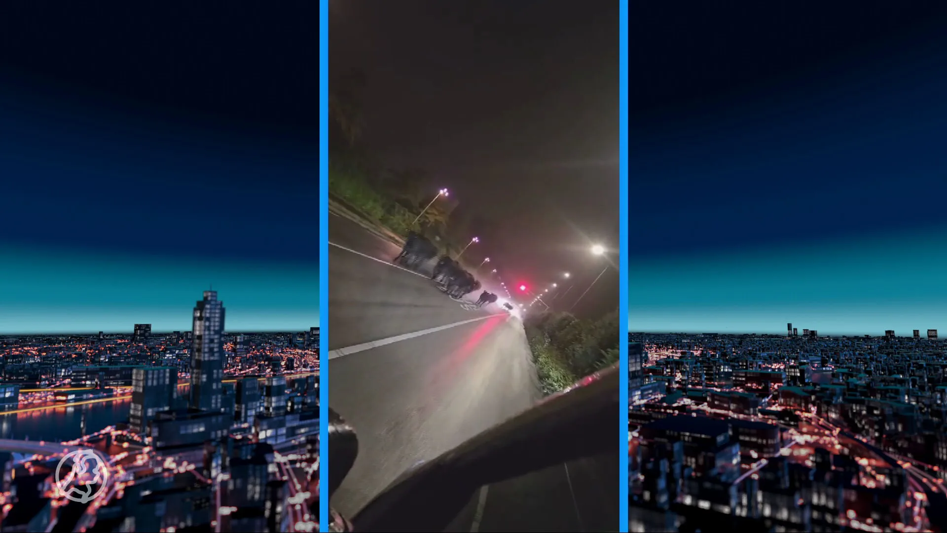 Tientallen koeien losgebroken in Westervoort, vermoedelijk door wolf: 'Bizar'