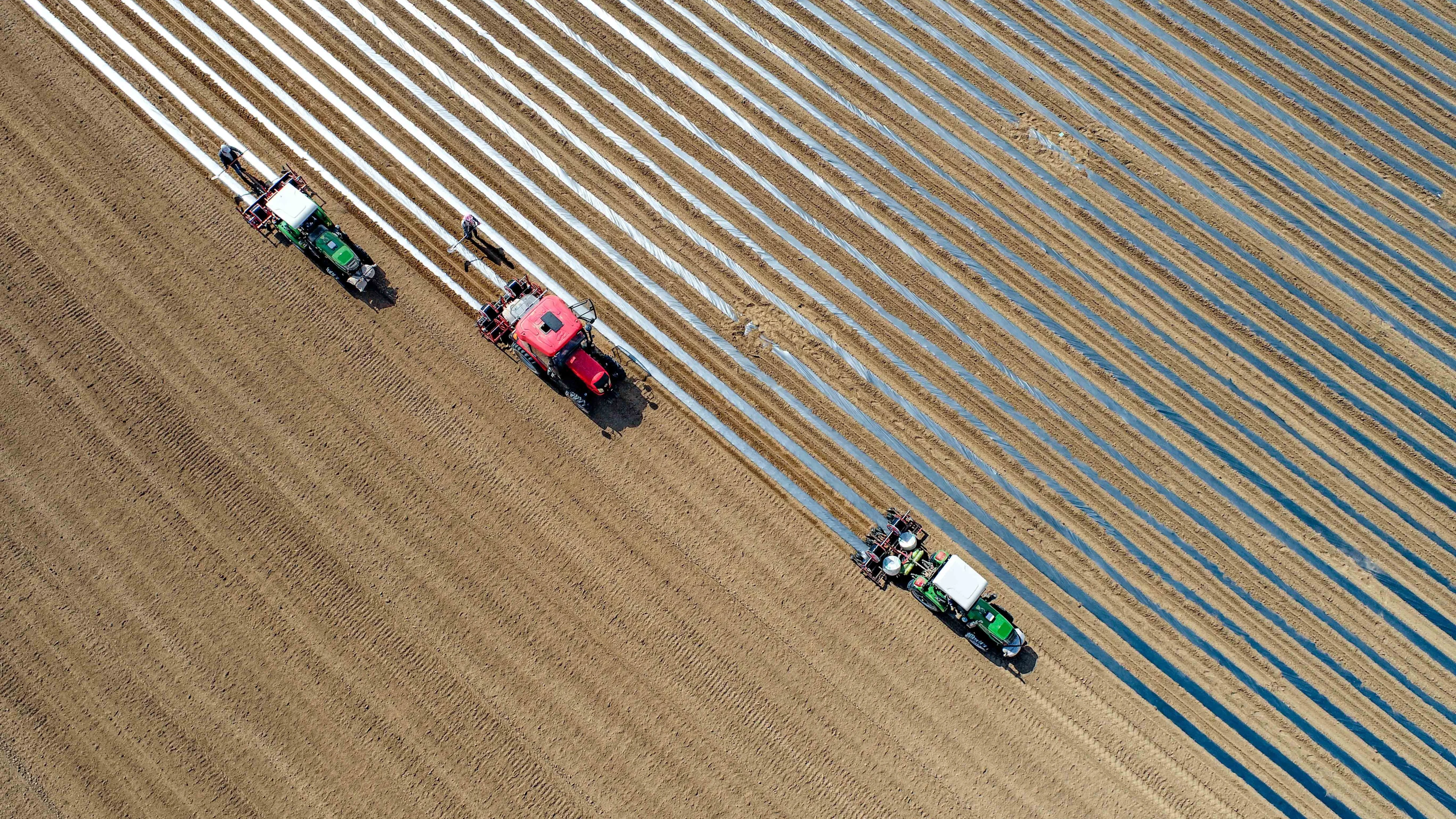GroenLinks en VVD komen samen met plan voor boeren